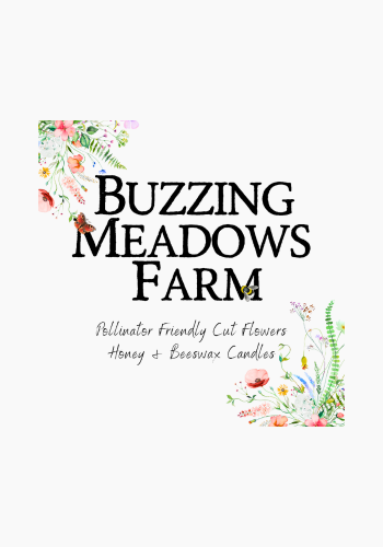Joan Willson Buzzing Meadows Clare