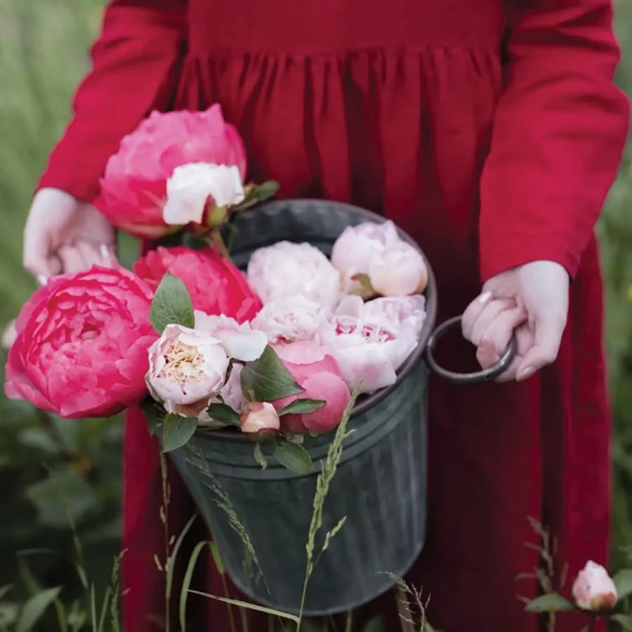 woman in red dress holding a bucket of white, pink and red peonies bellmeadow flowers