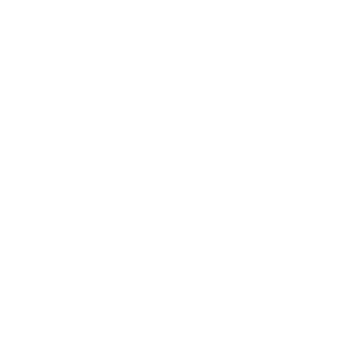 Logo van Bezemer & Schubad, advies-, onderzoeks- en trainingsbureau met branding en huisstijlontwerp door grafisch ontwerper