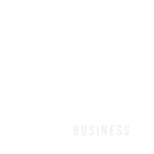 logo transparant ontwerp branding and boosting grafisch ontwerp vormgeving vrouwelijke ondernemer logo ontwerp lvk business.png