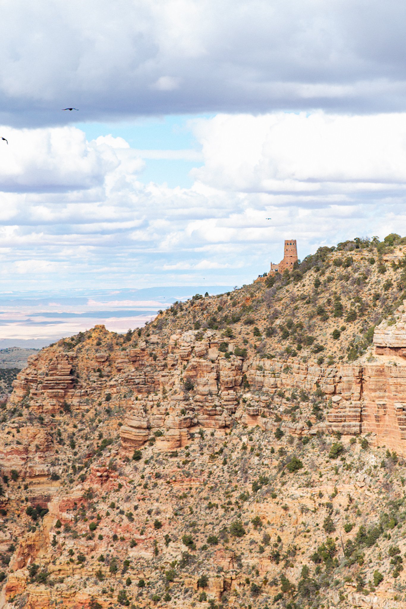 Desert View Castle