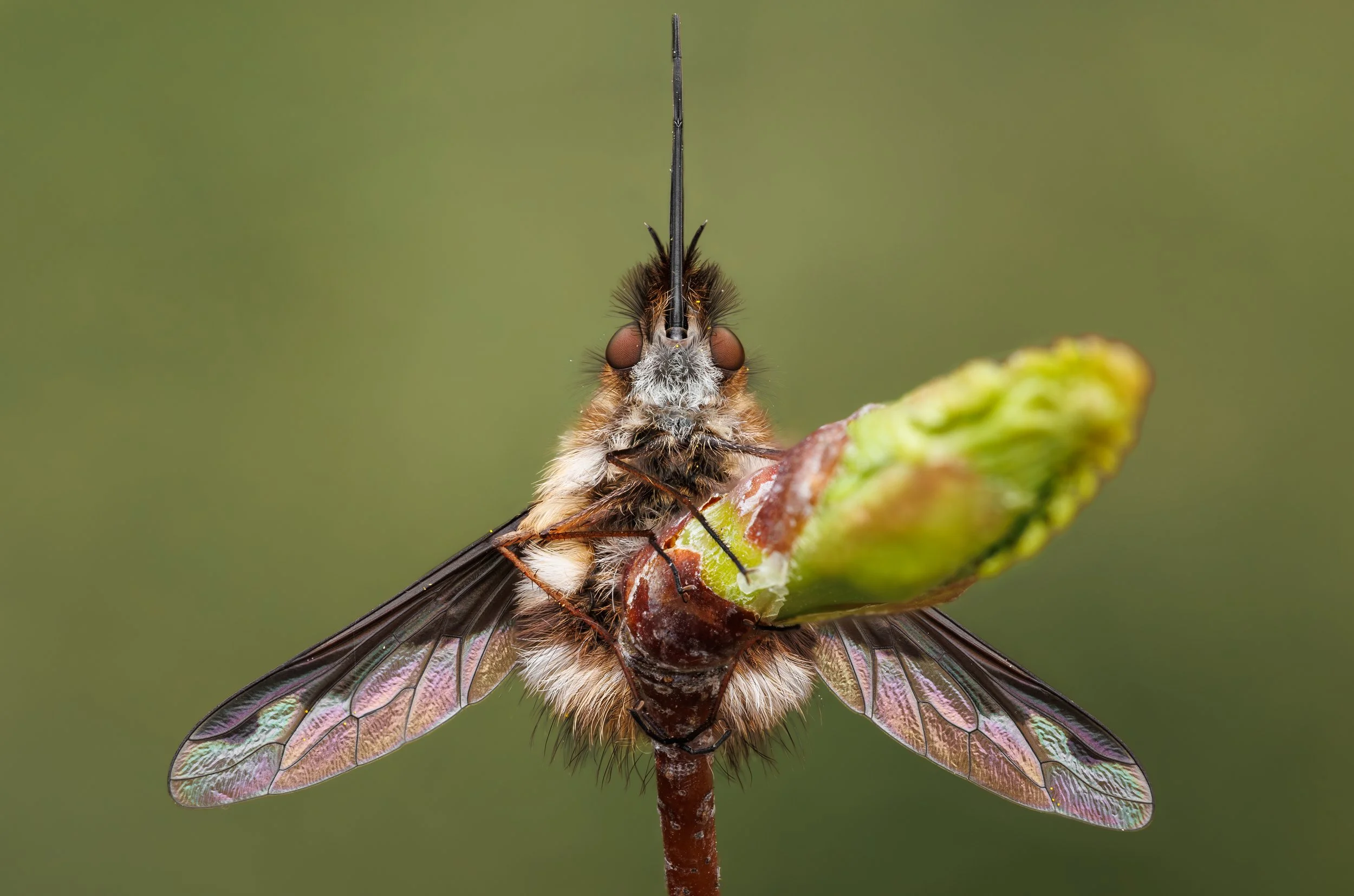 20250409-2025-04-10 20-15-09 (B,R3,S1)firstfixedproper-2.jpg