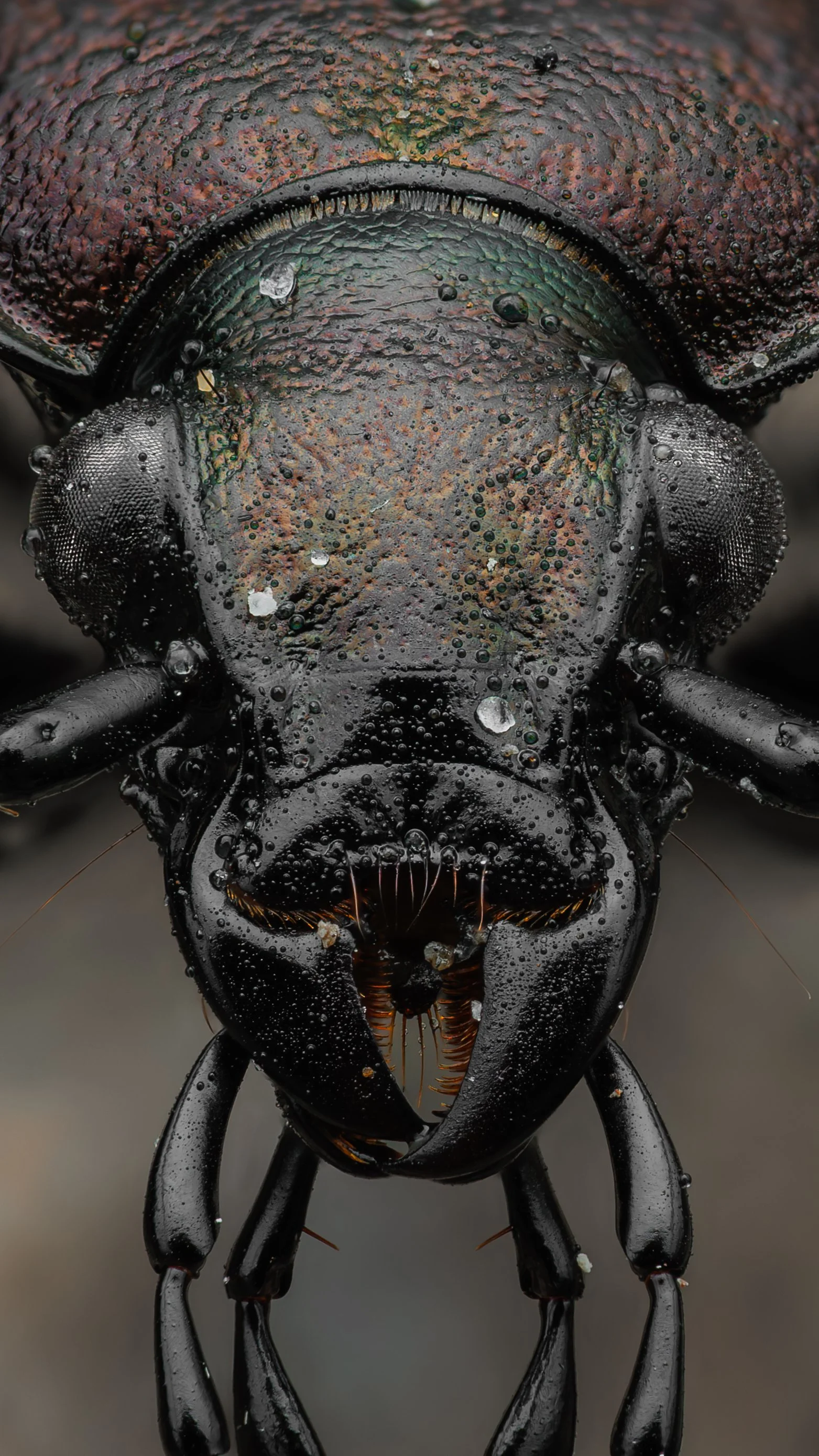 20250509-2025-05-10 11-42-27 (B,R3,S1)firstcleaned-9.jpg