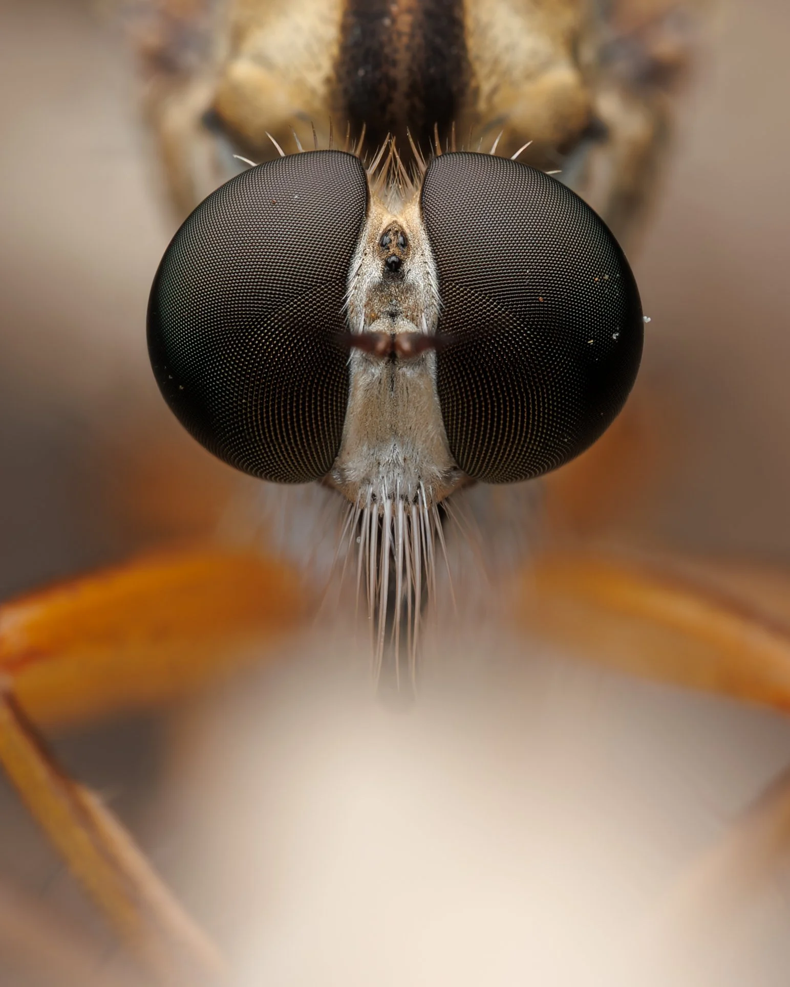 20240716-2024-12-07 11-15-25 (B,R3,S1)FIRST-5.jpg