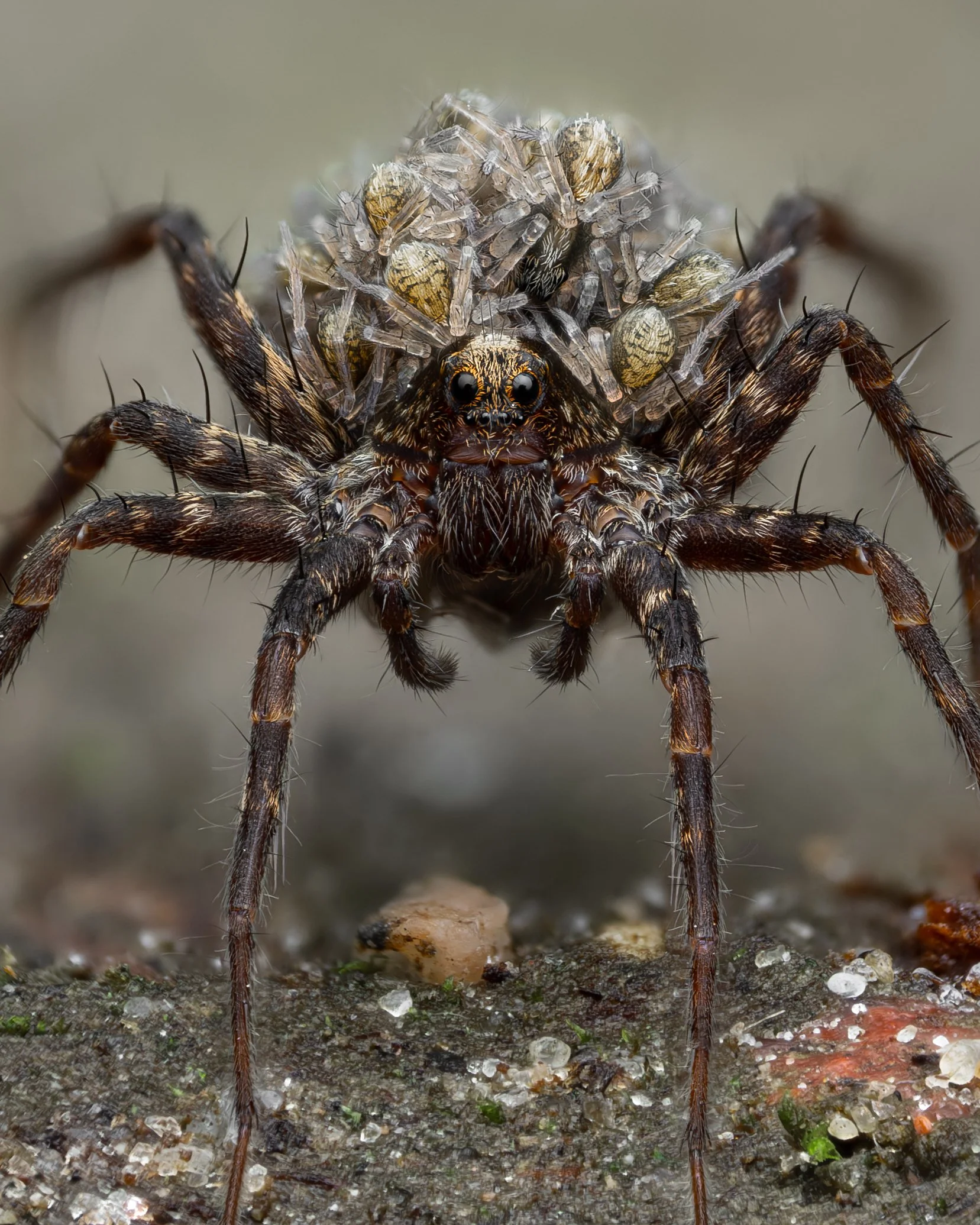 20250628-2025-07-03 19-26-11 (C,S1)firstlegfix.jpg