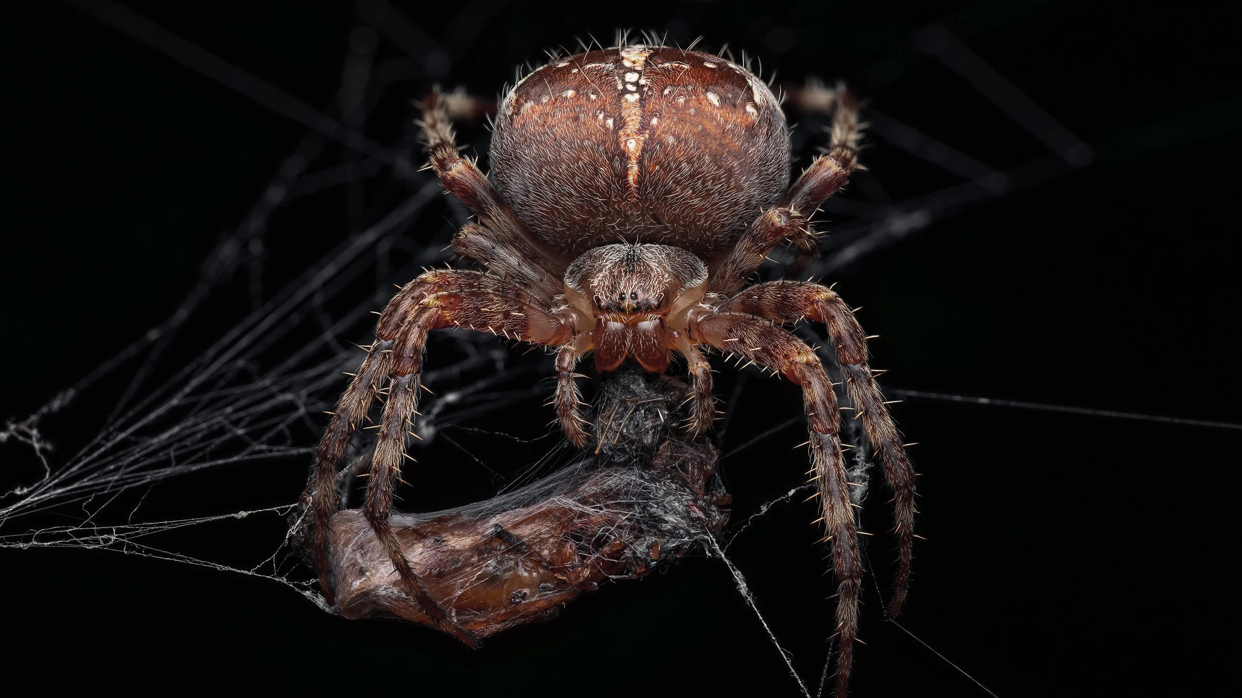 20240905-2024-09-15 22-13-59 (B,R3,S1)_first-2.jpg