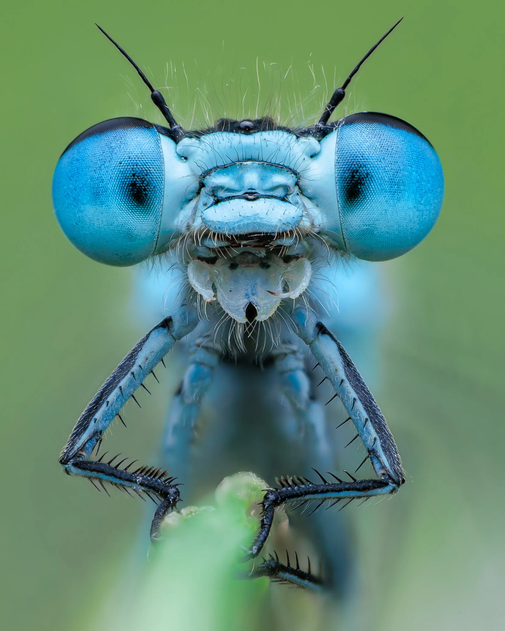 20250524-2025-05-25 15-33-21 (B,R3,S1)first-3.jpg