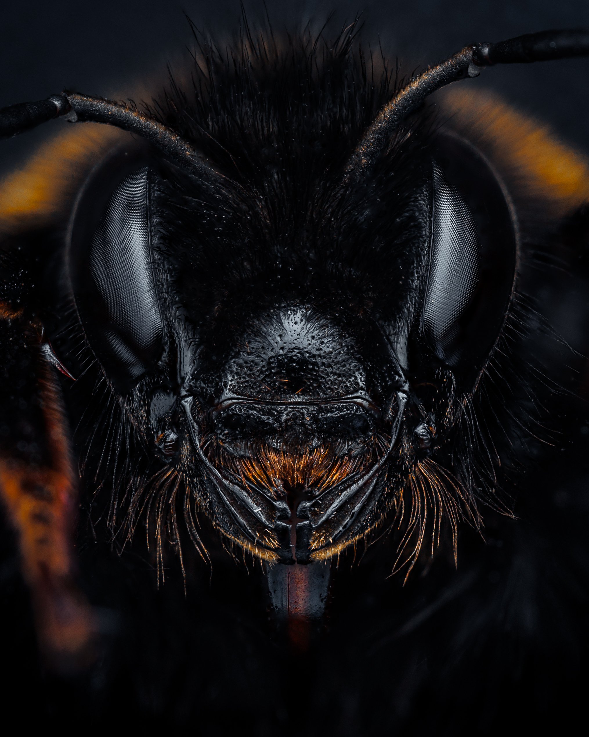 2026-03-10 15-43-06 (B,R2,S1)first-6.jpg