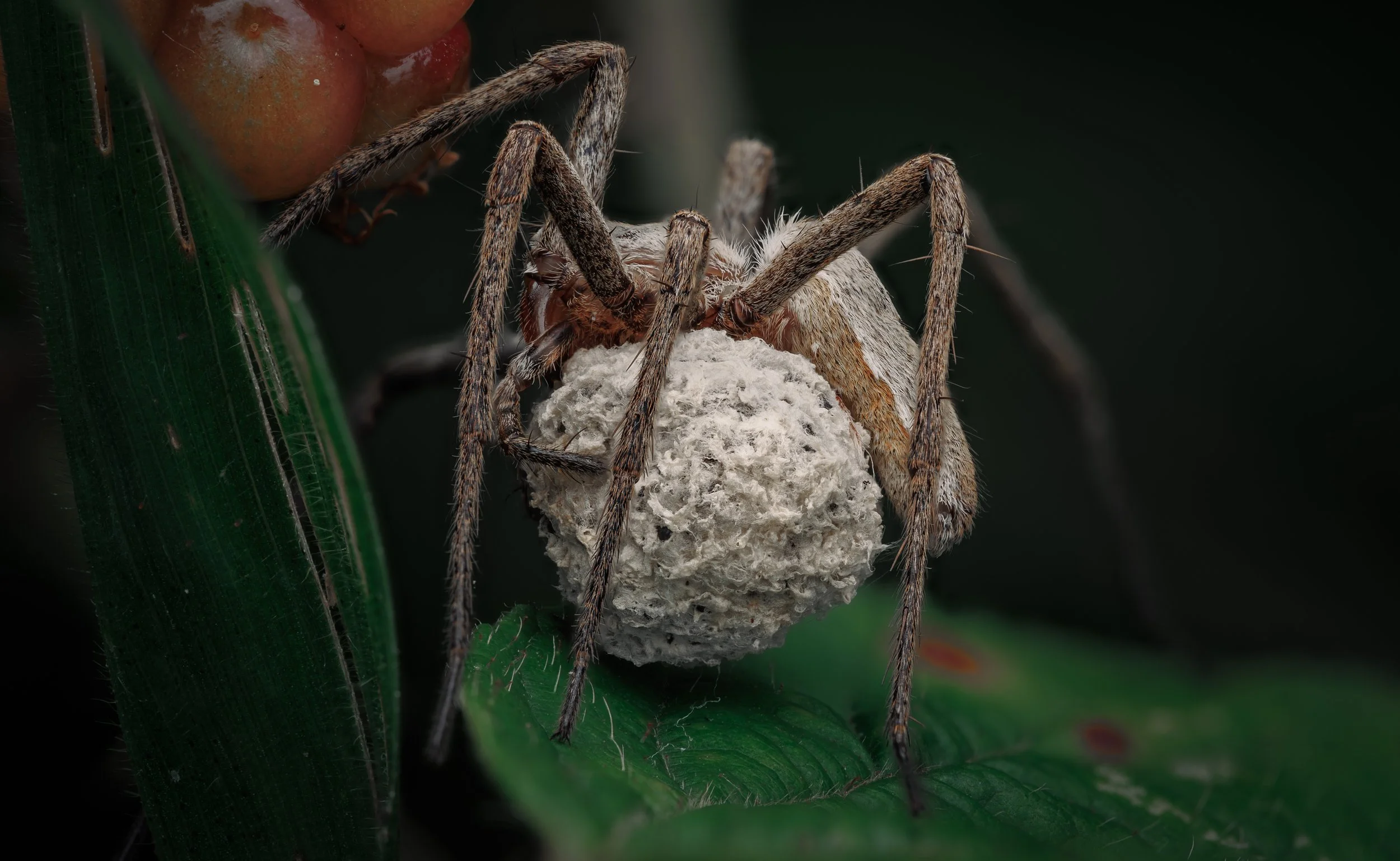 20240817-2024-09-01 19-26-16 (B,R3,S1)_clean.jpg