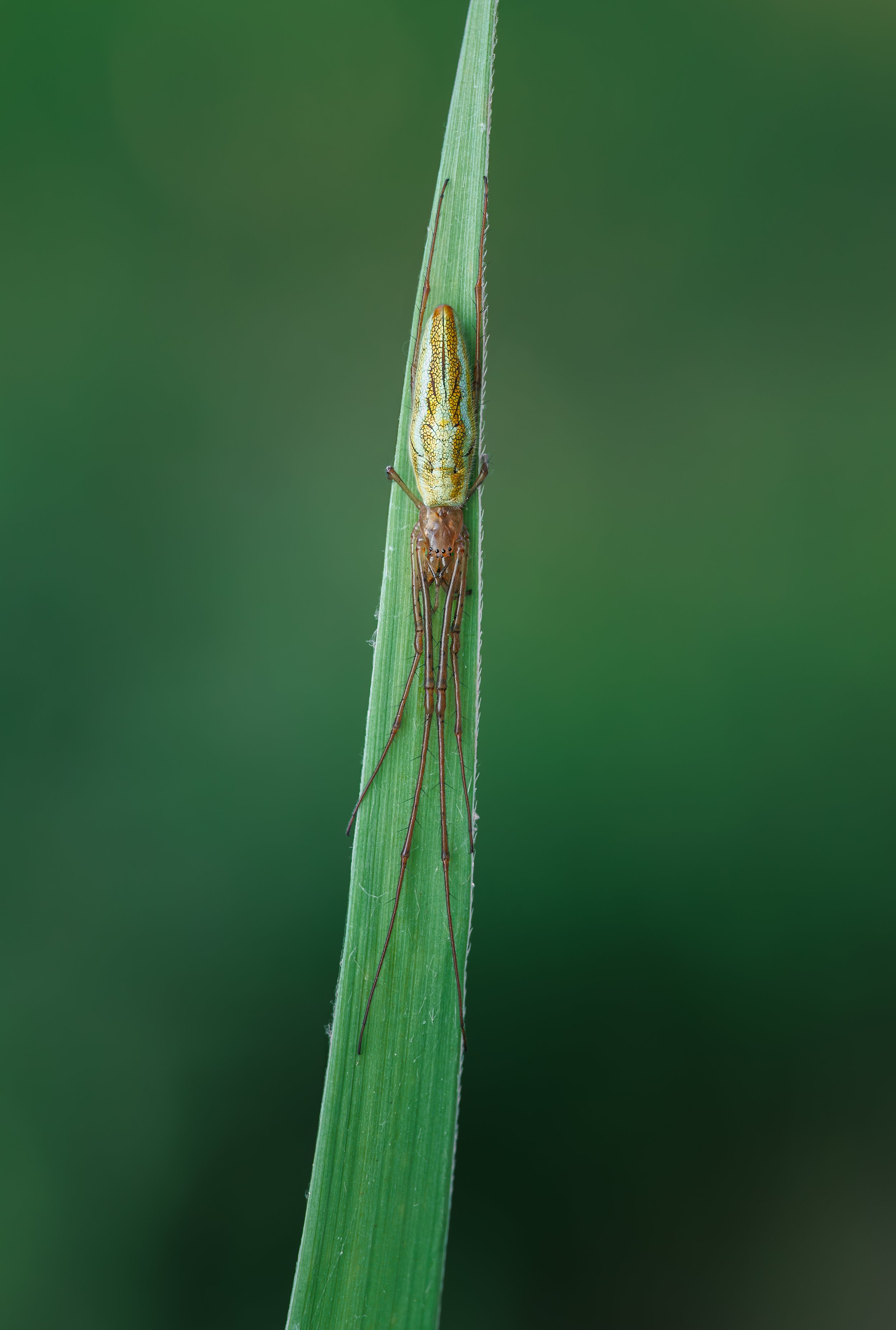 20250620-2025-06-27 22-03-14 (B,R3,S1)first.jpg