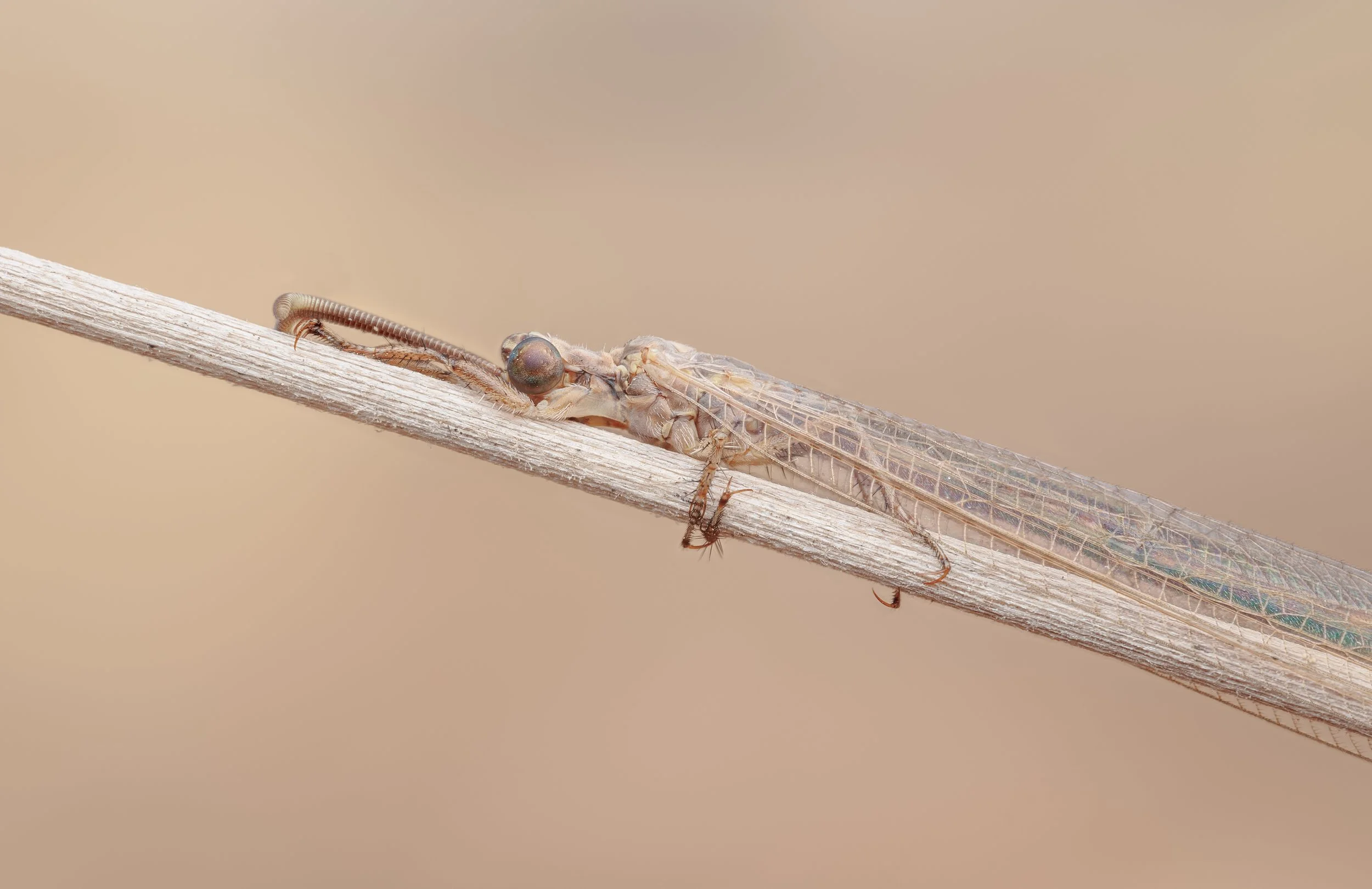 20240719-2024-07-26 20-44-07 (C,S1)_properly_clean.jpg