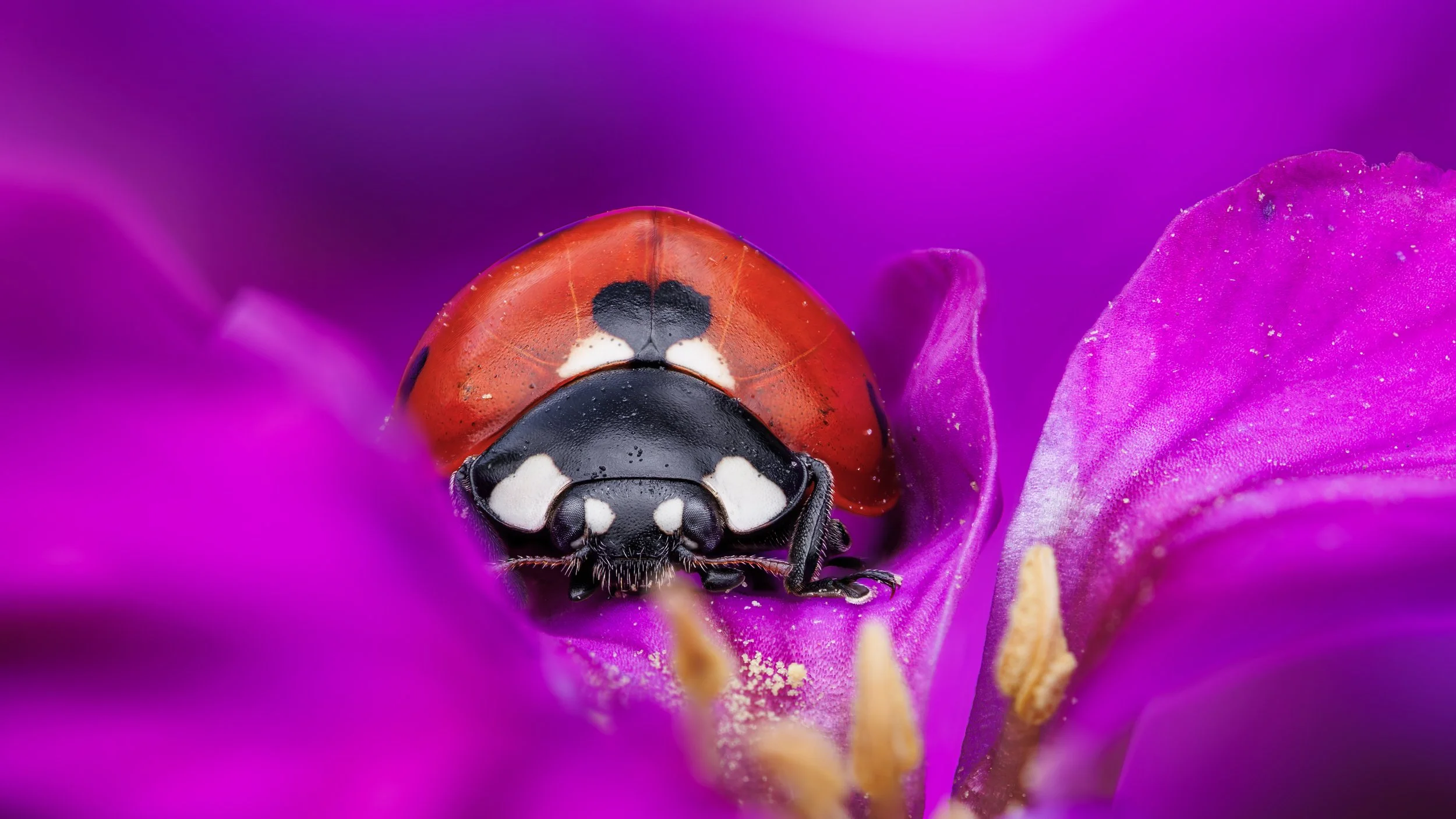 20250408-2025-04-08 22-40-26 (B,R3,S1)firstblurfront-8.jpg