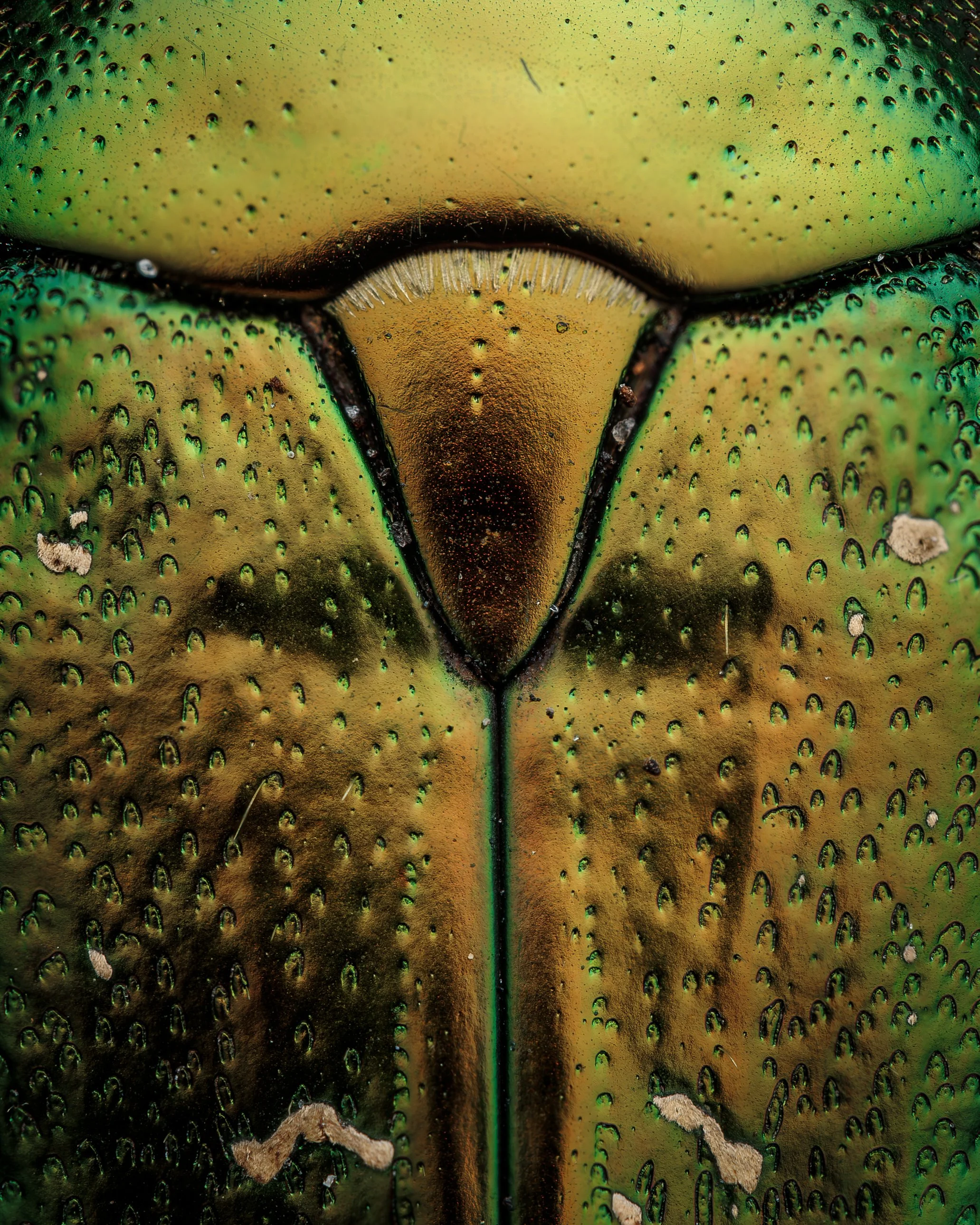 20240914-2024-09-17 18-05-54 (B,R3,S1)_first.jpg