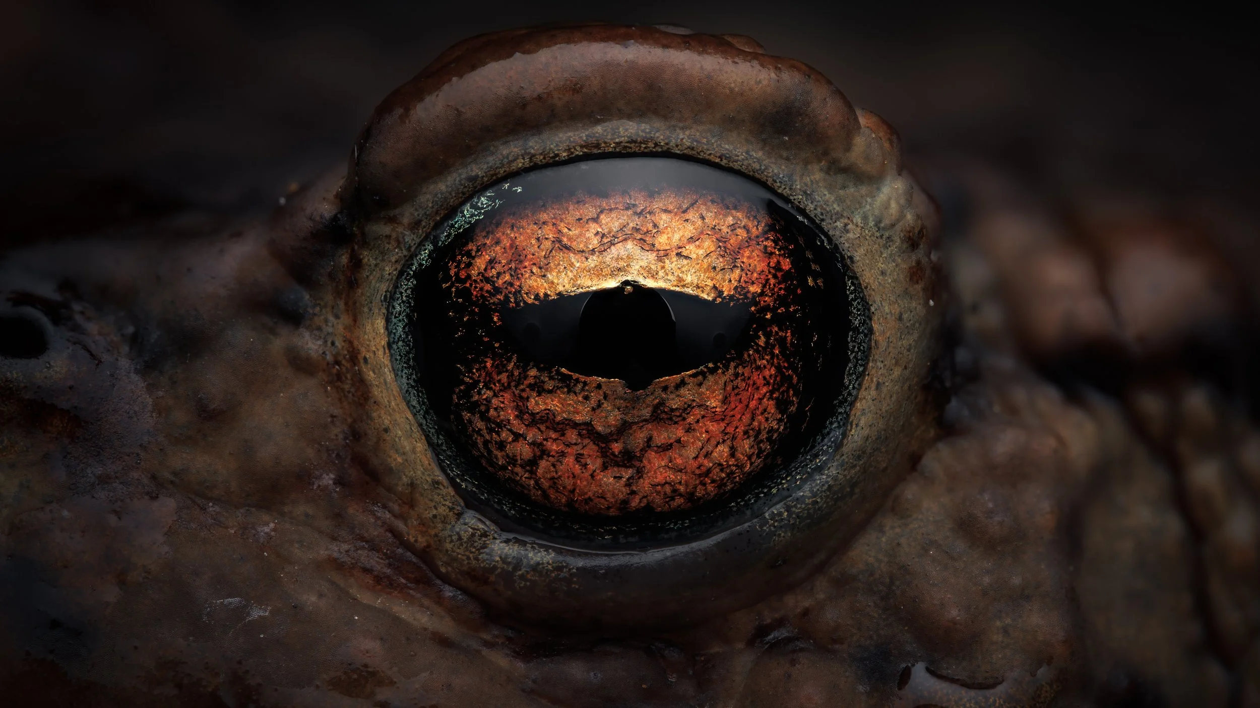 20240904-2024-09-09 22-24-14 (B,R3,S1)_first-5.jpg