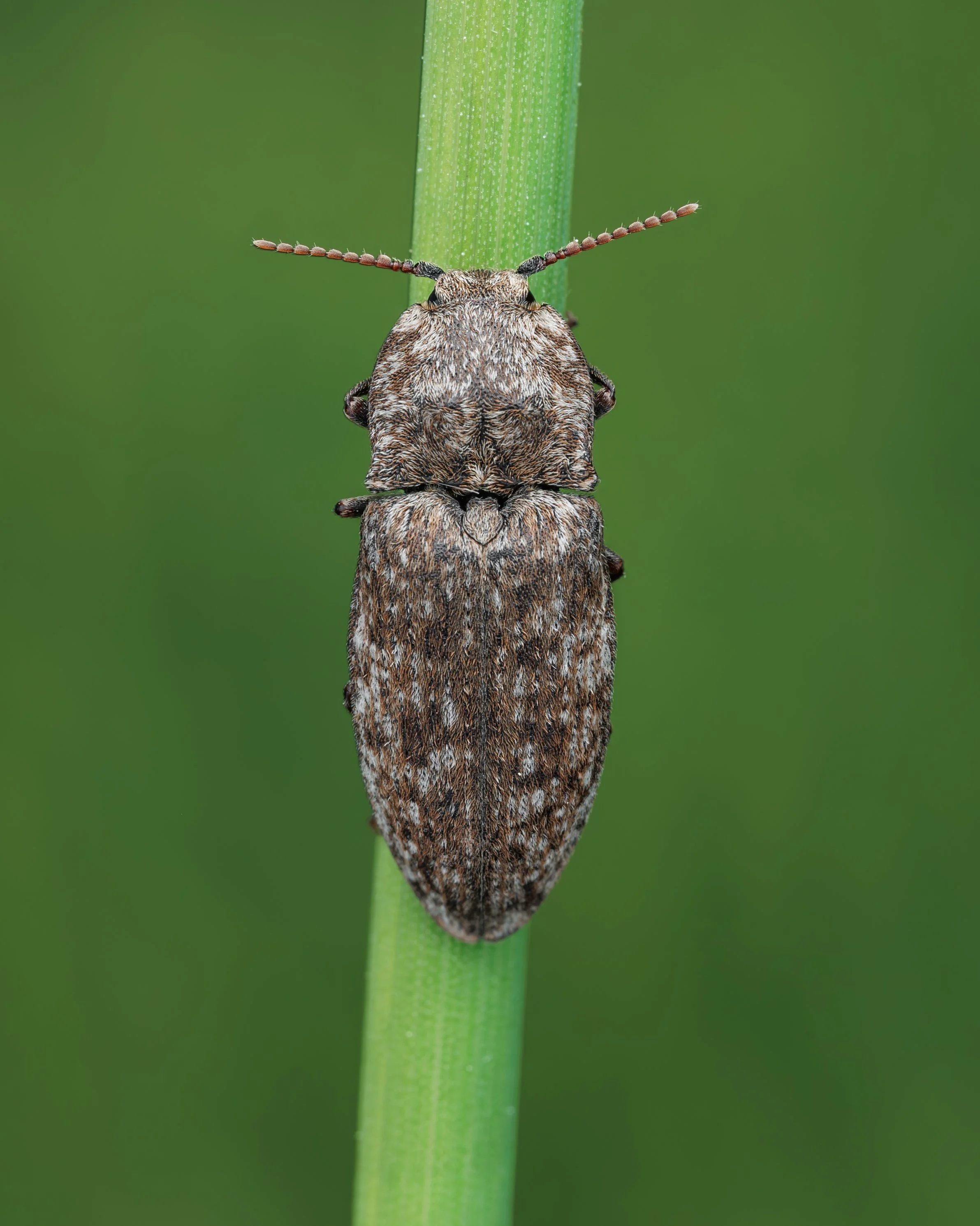 20240518-2025-01-28 14-52-00 (B,R3,S1)first-3.jpg