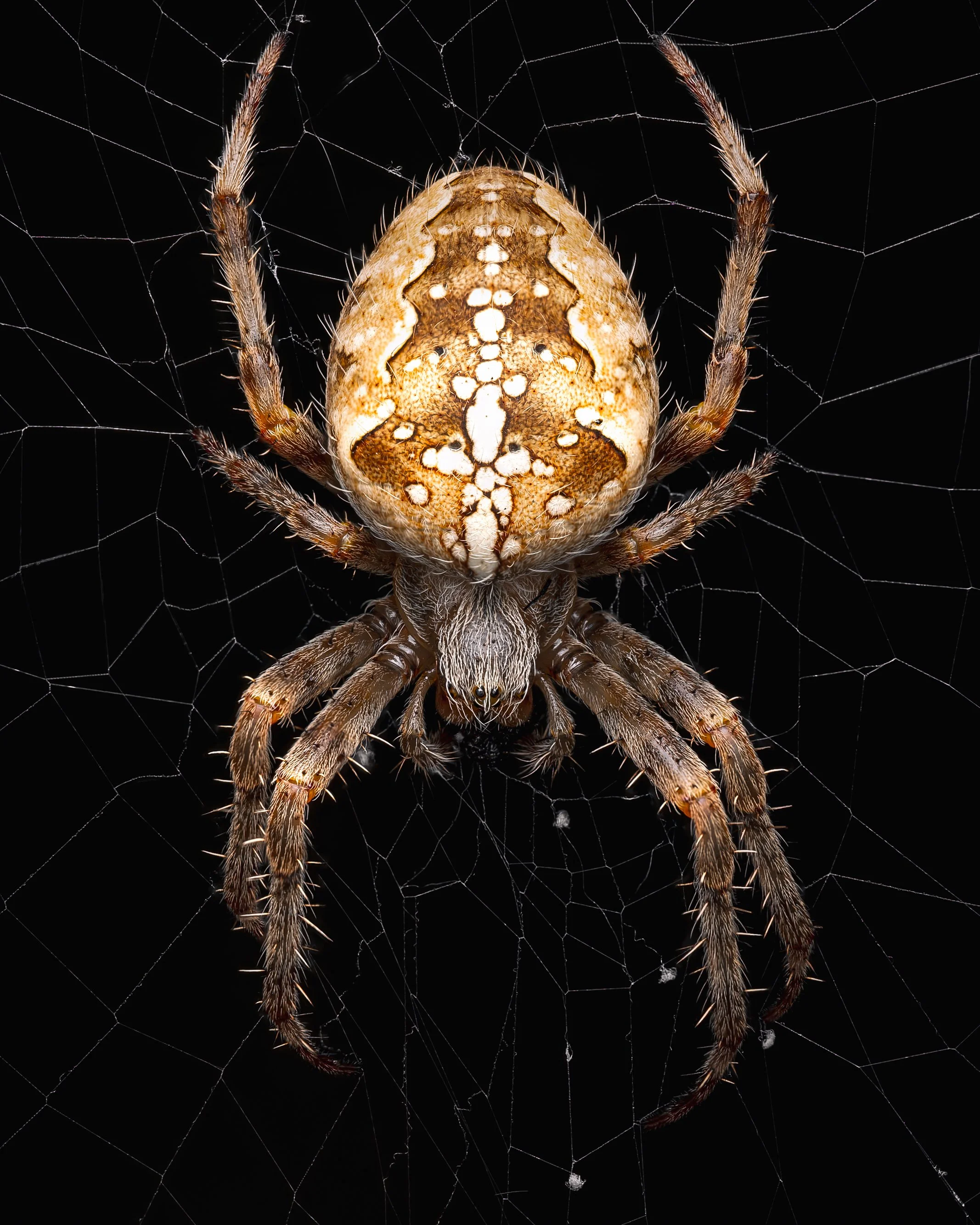 20240908-2024-09-09 20-09-43 (B,R3,S1)_cleamn-4.jpg