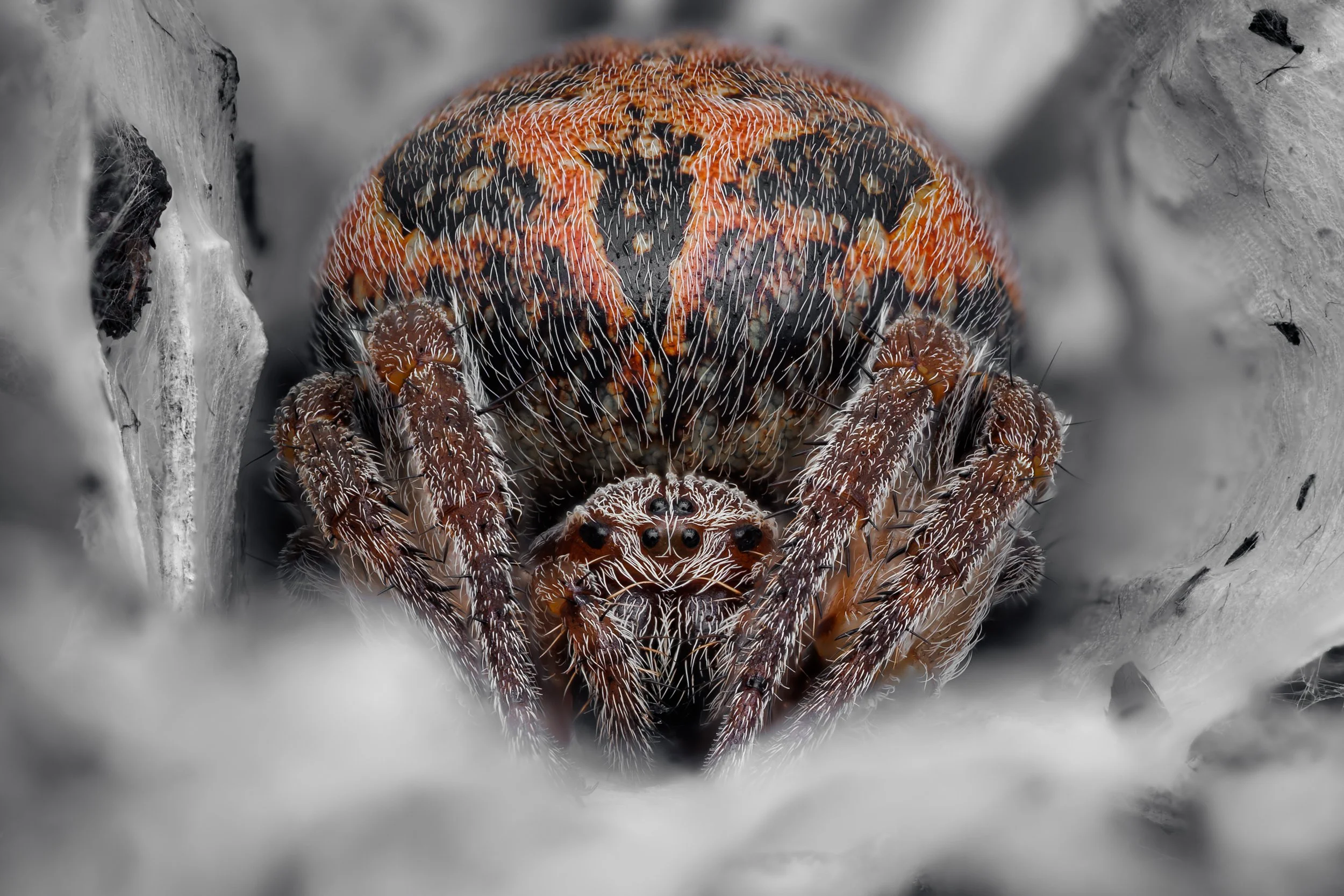 20250430-2025-05-01 21-21-32 (B,R3,S1)first.jpg