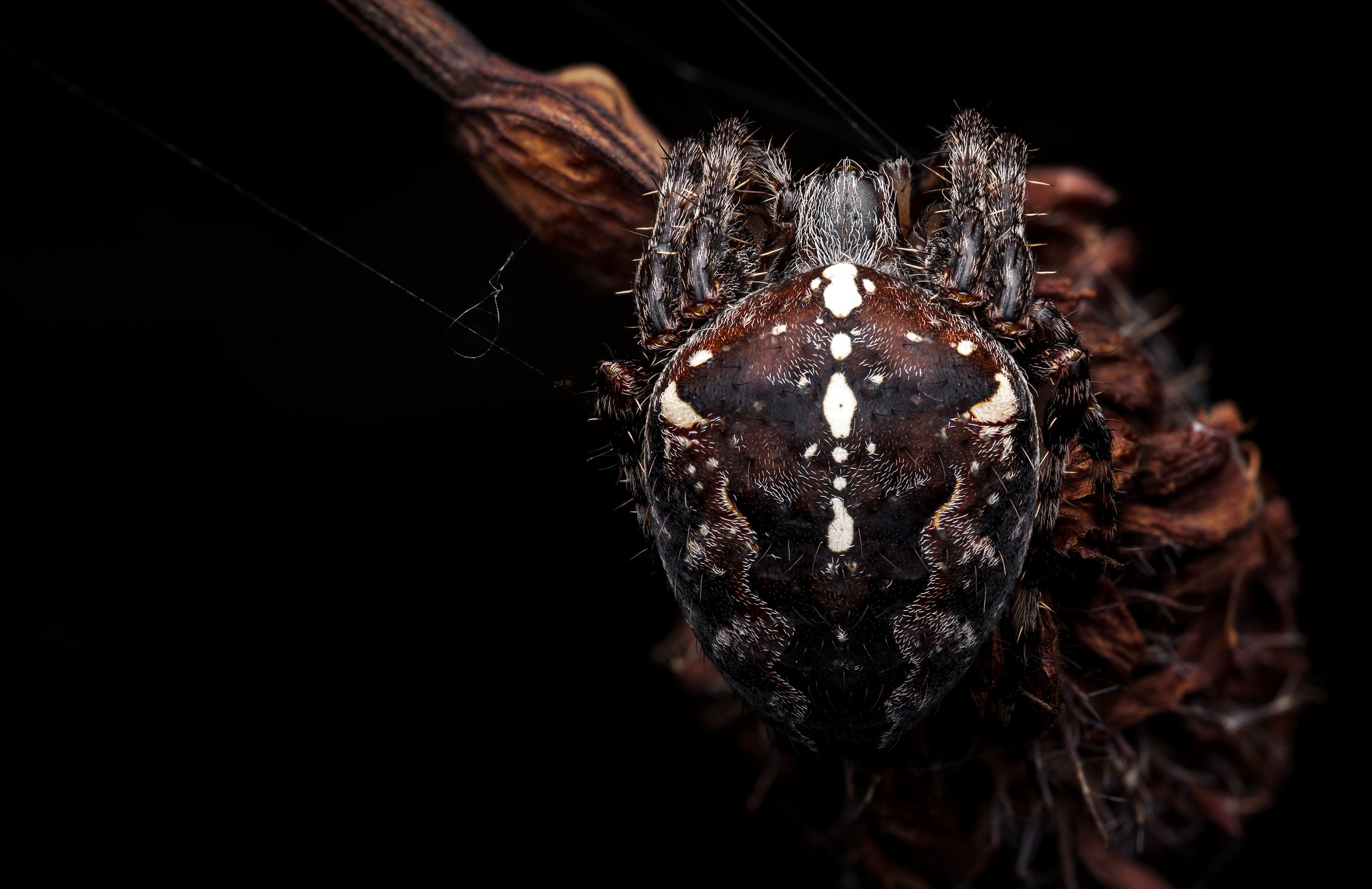 20240828-2024-09-01 18-49-01 (B,R3,S1)_final_clean.jpg