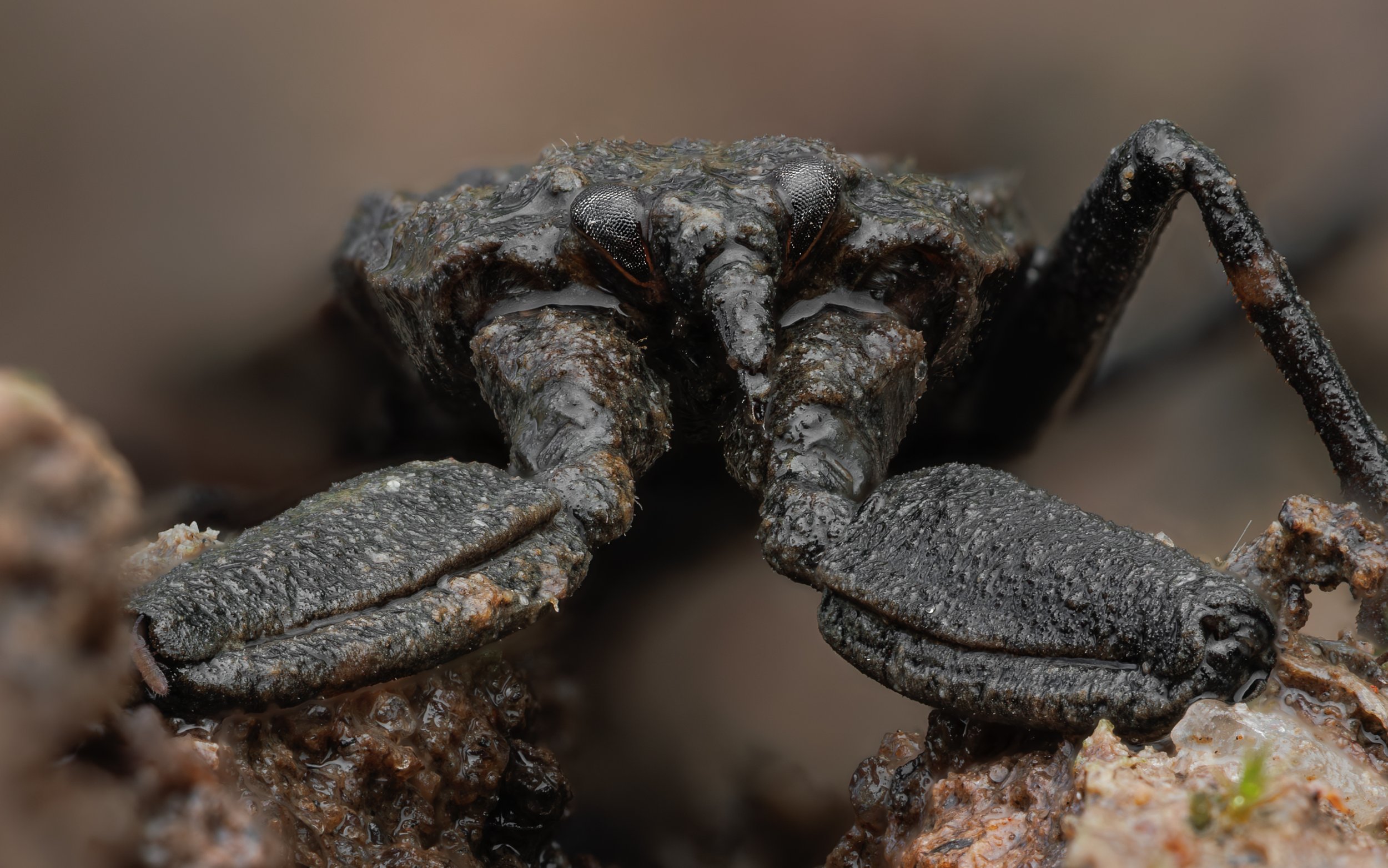 20250508-2025-05-09 13-23-36 (B,R3,S1)first-4.jpg