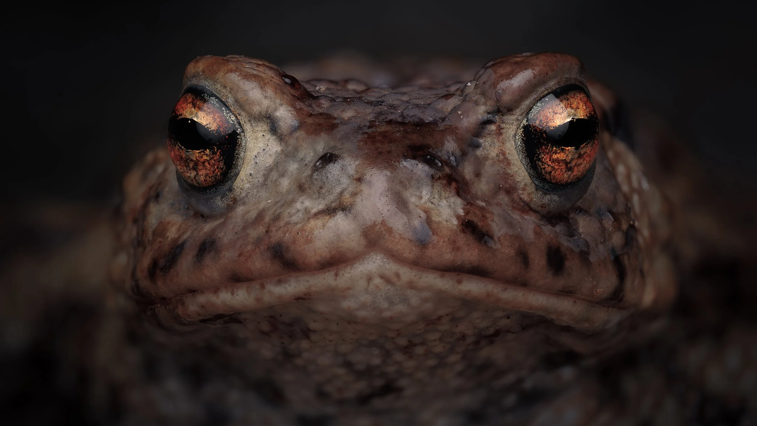 20240904-2024-09-11 21-58-12 (B,R3,S1)_bettercleanup-2.jpg