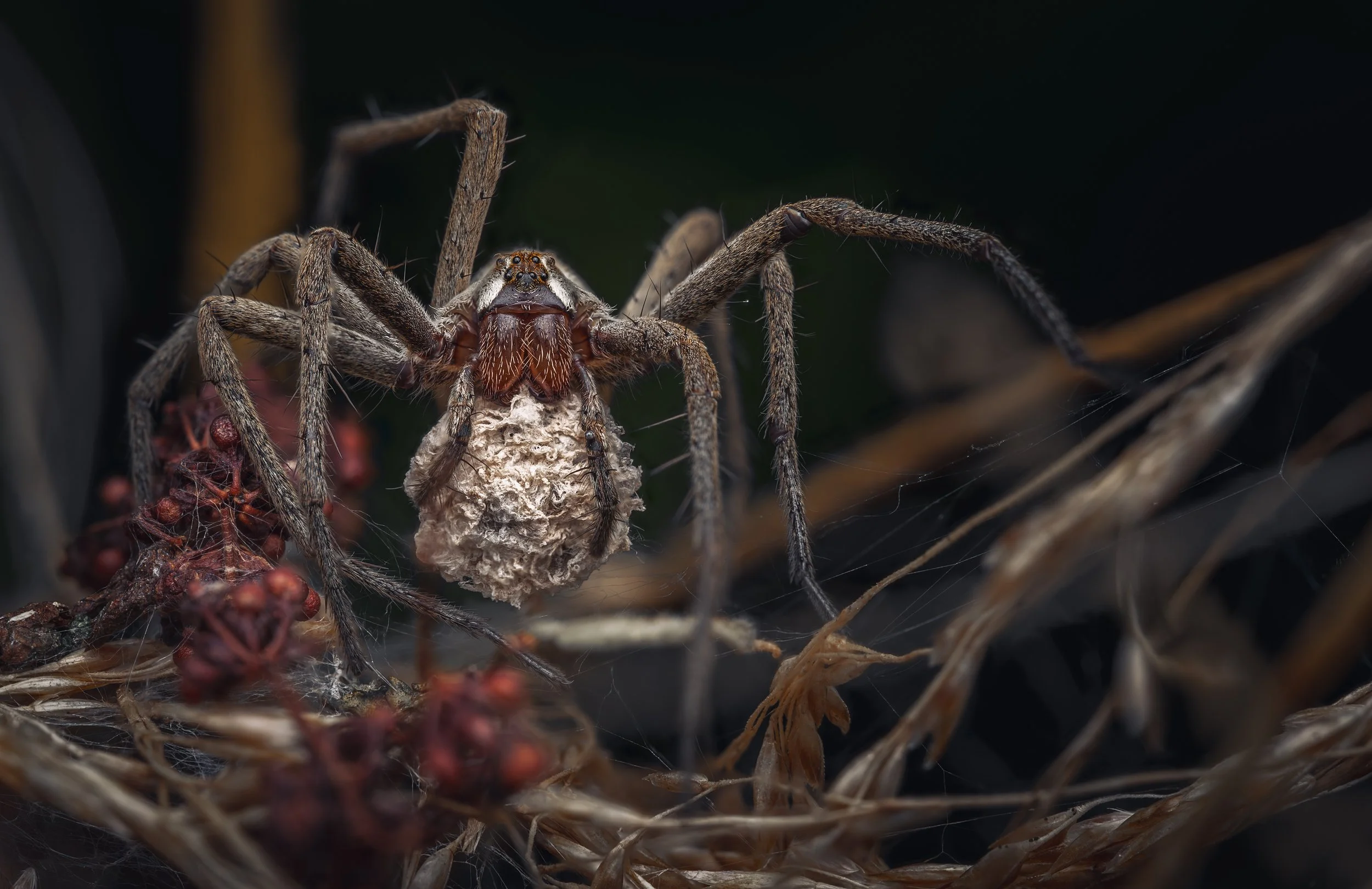 20240825-2024-08-26 22-04-46 (B,R3,S1)_cleanmaybefucked-2.jpg