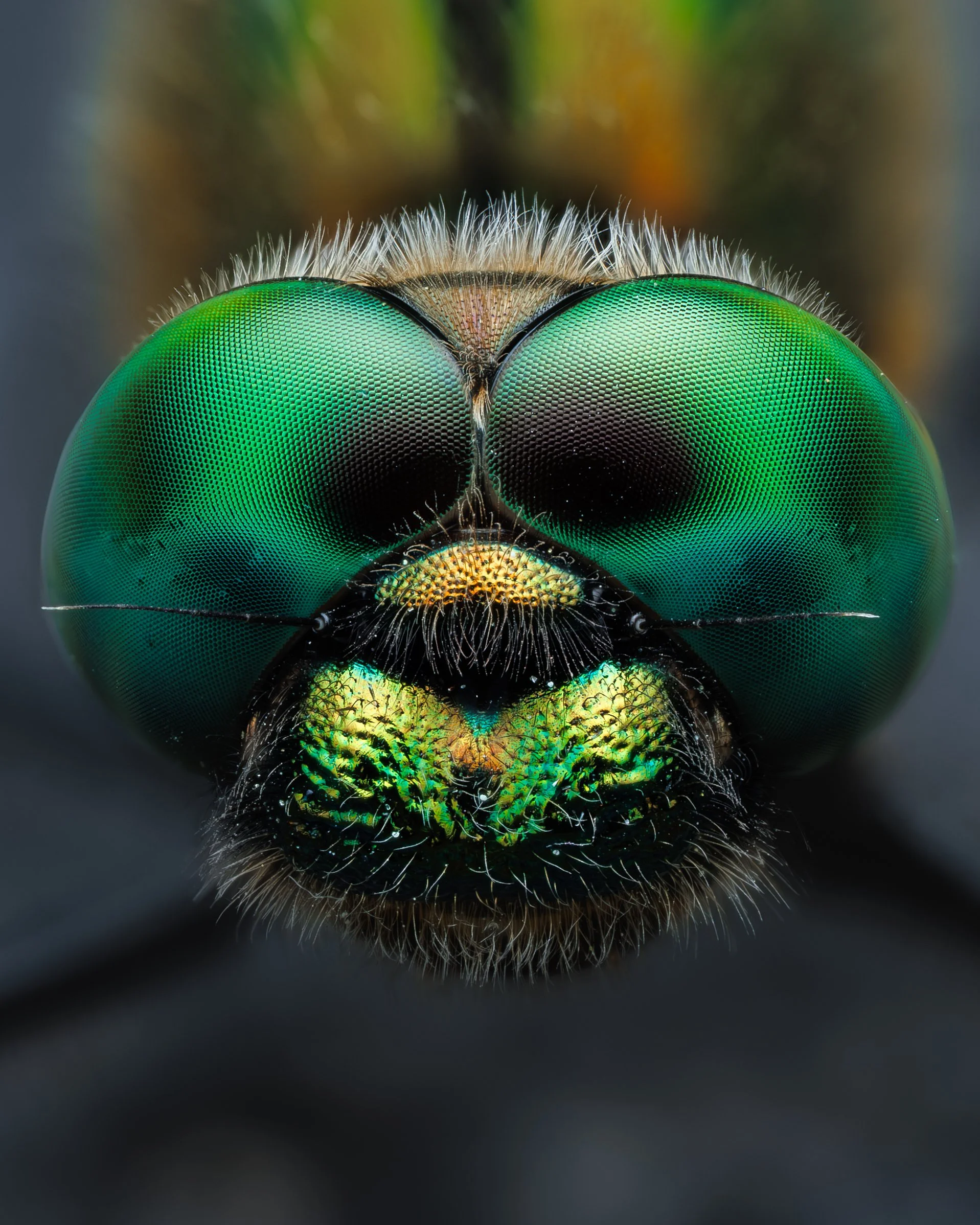 20250519-2025-05-20 19-51-21 (C,S1)firstcleaned-3.jpg