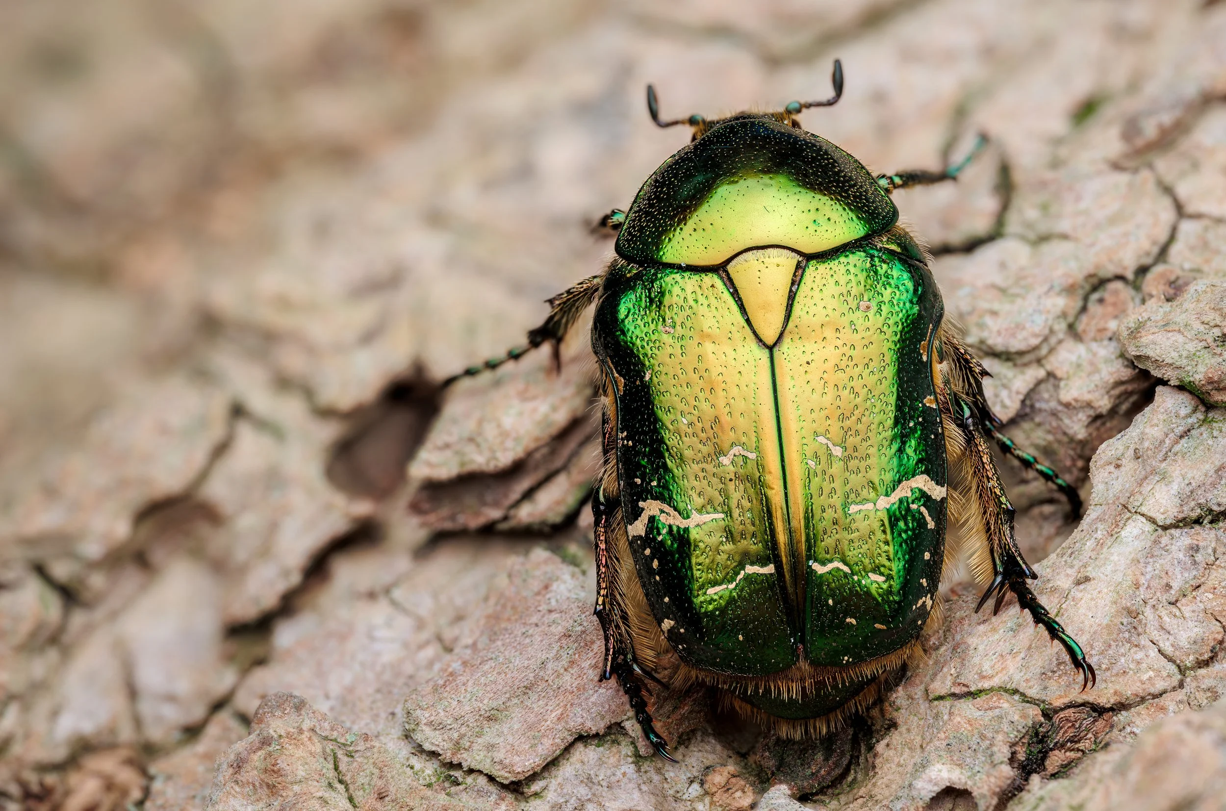 20240914-2024-09-17 15-17-27 (B,R3,S1)_cleaned.jpg