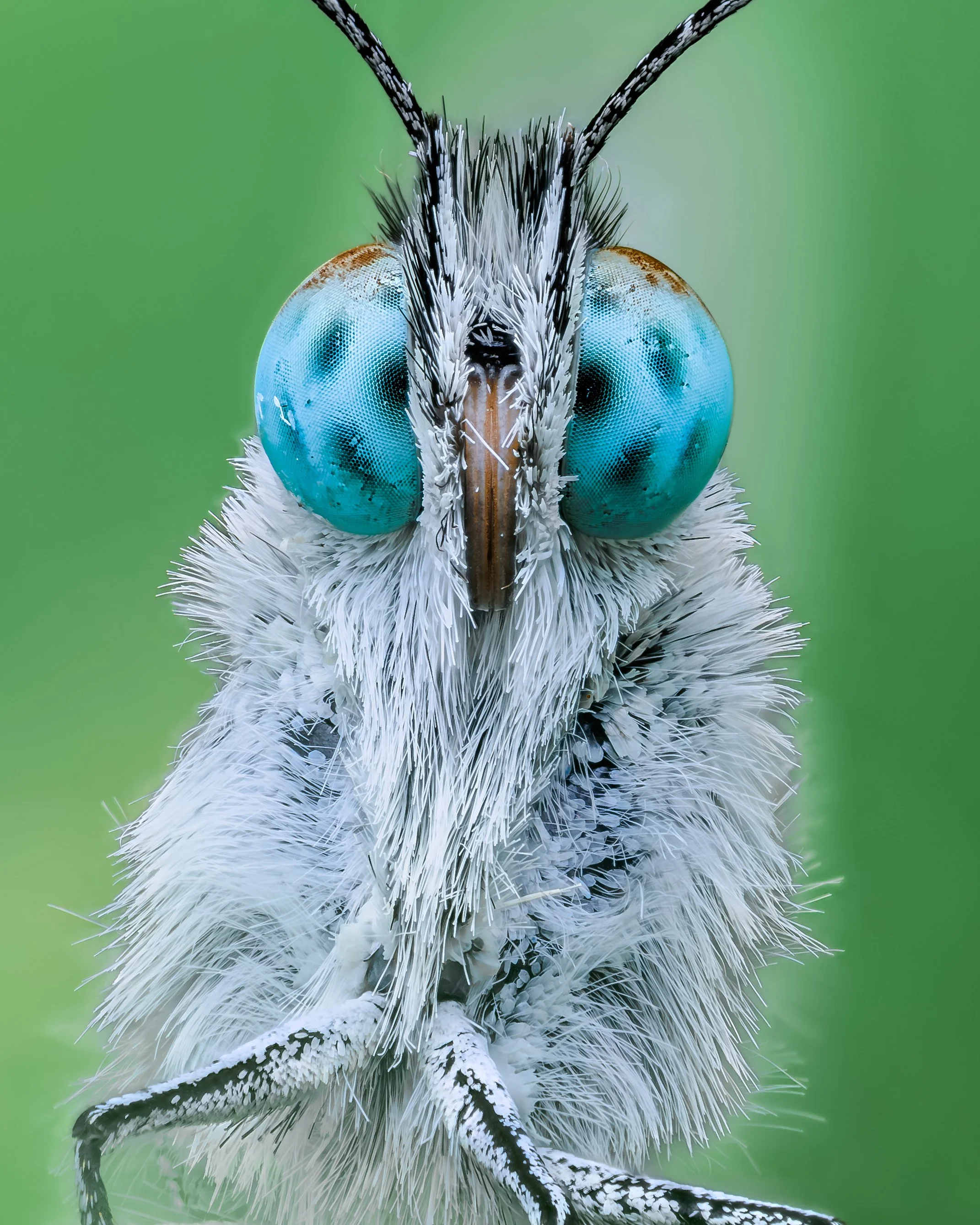 20250705-2025-07-08 00-12-59 (C,S1)first.jpg