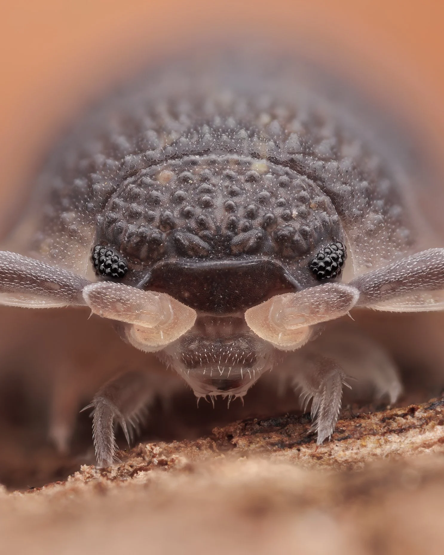 20241115-2024-11-24 08-05-32 (B,R3,S1)FIRST.jpg