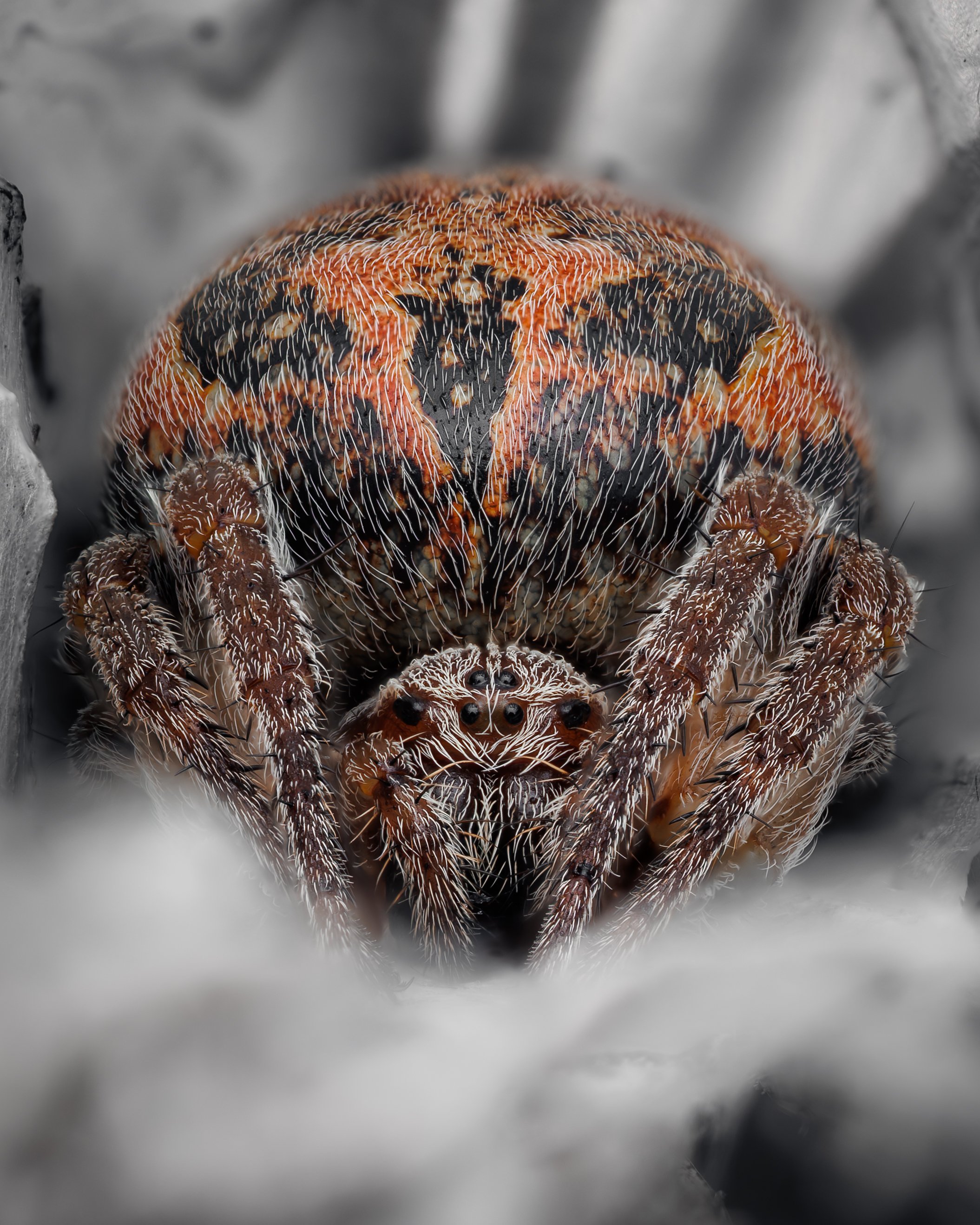 20250430-2025-05-01 21-21-32 (B,R3,S1)first.jpg