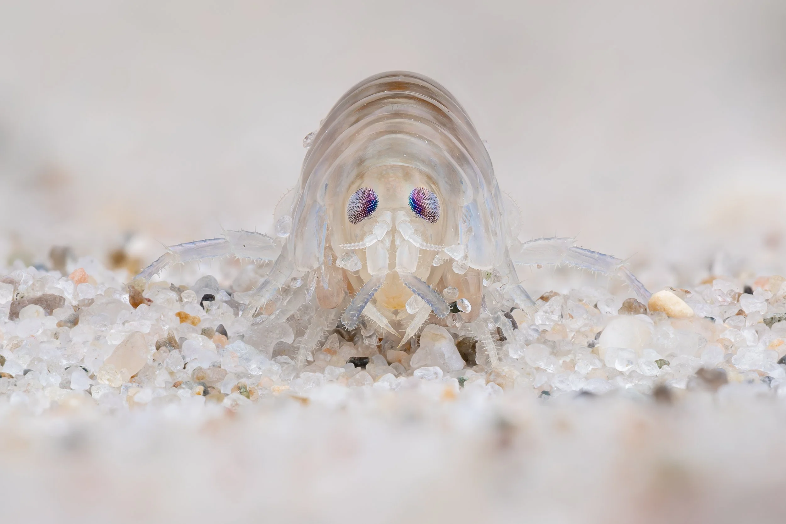 20250622-2025-06-27 19-13-13 (B,R3,S1)first.jpg