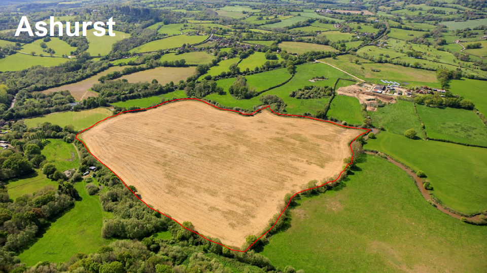 Site Location Ashurst.png