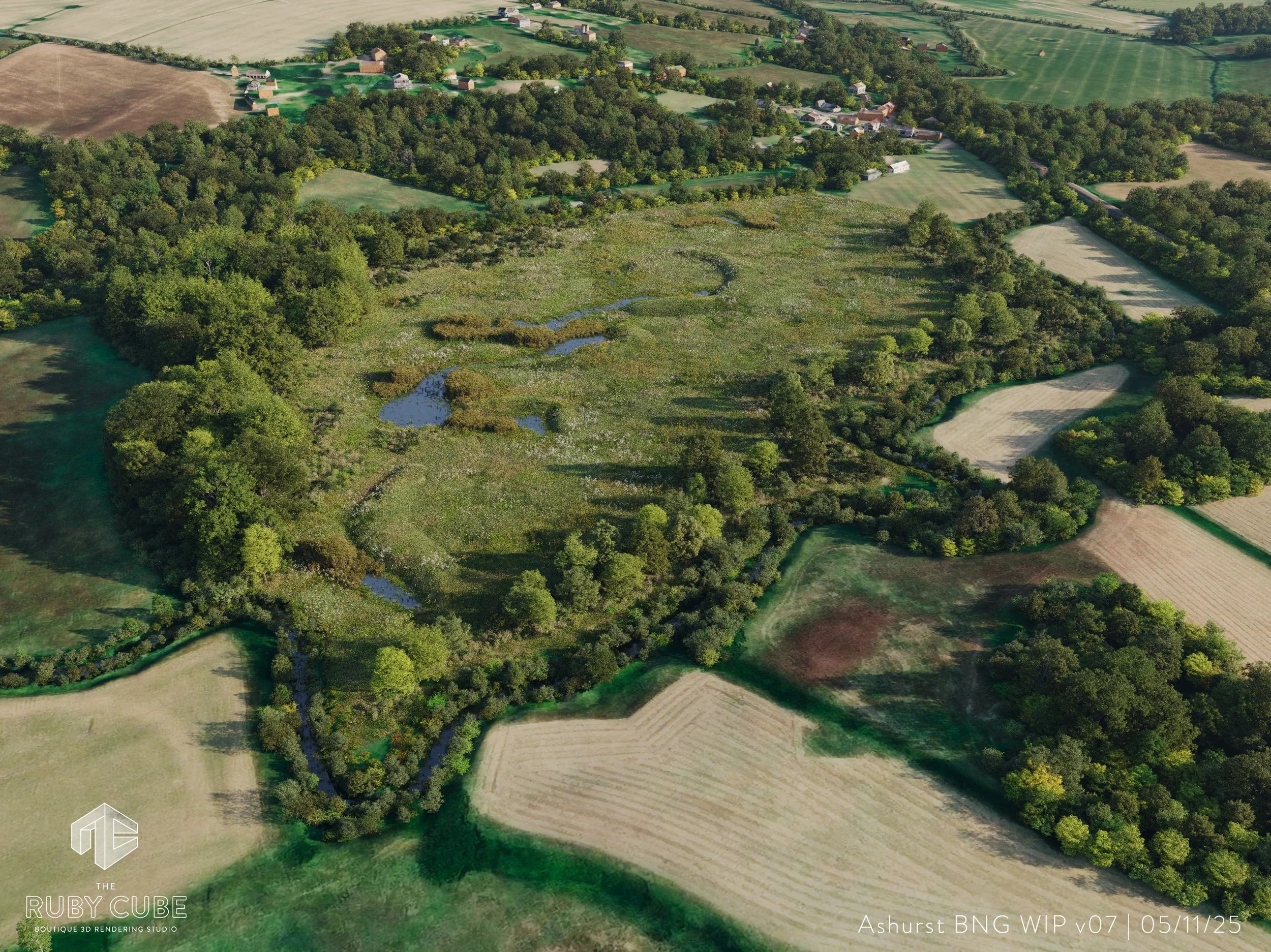 Biodiversity Net Gain Habitat at Ashurst