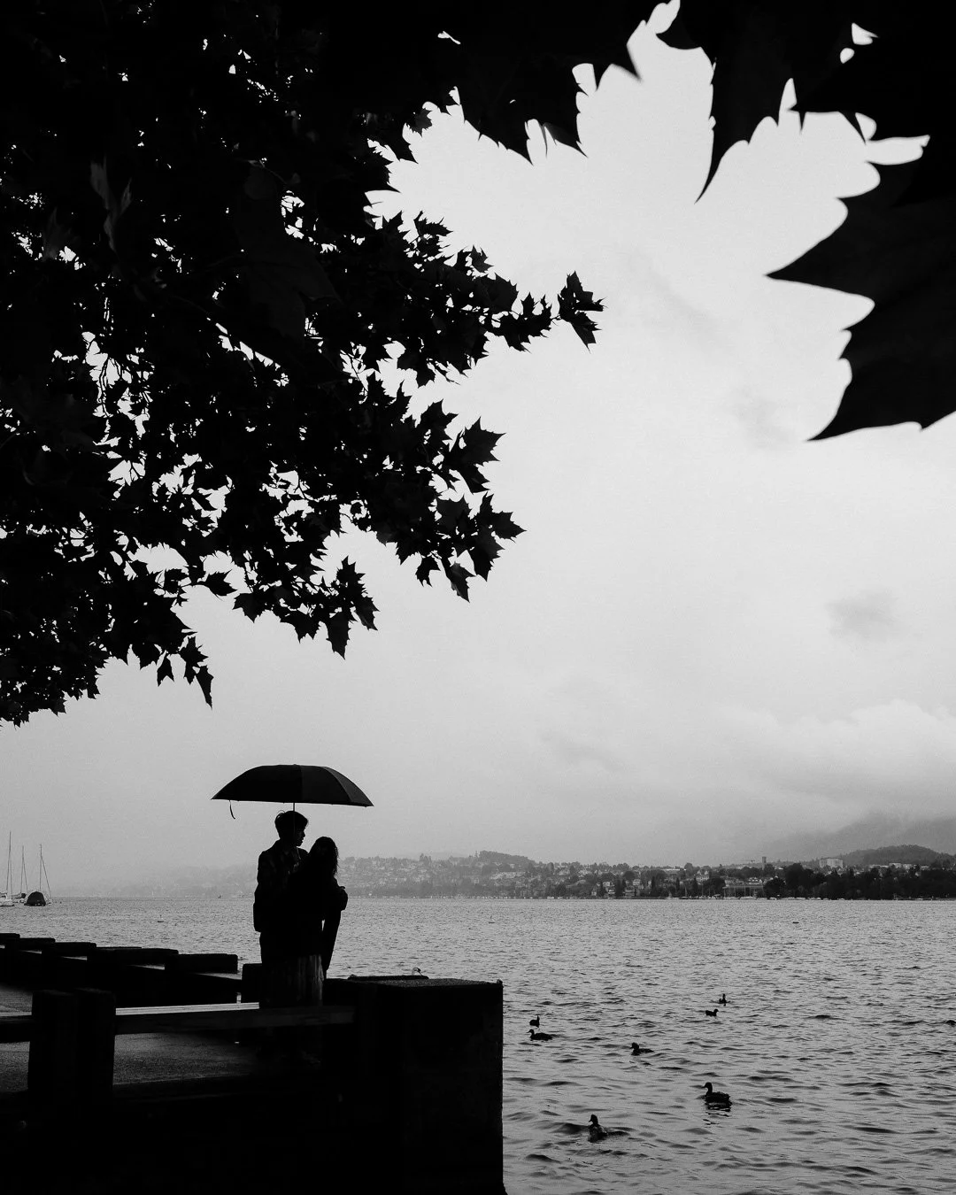 Zurich by Day Street Photography Workshop 22.08.2026 - NEW ROUTE