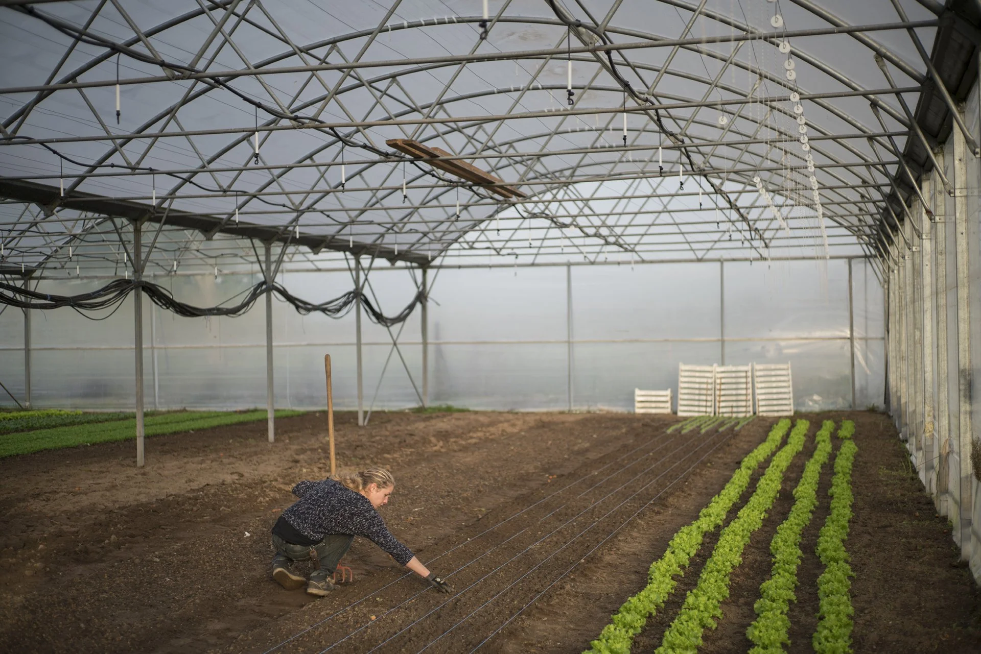 084_04_NL_201710_Marche Bus_Alsace_DSC2720.jpg