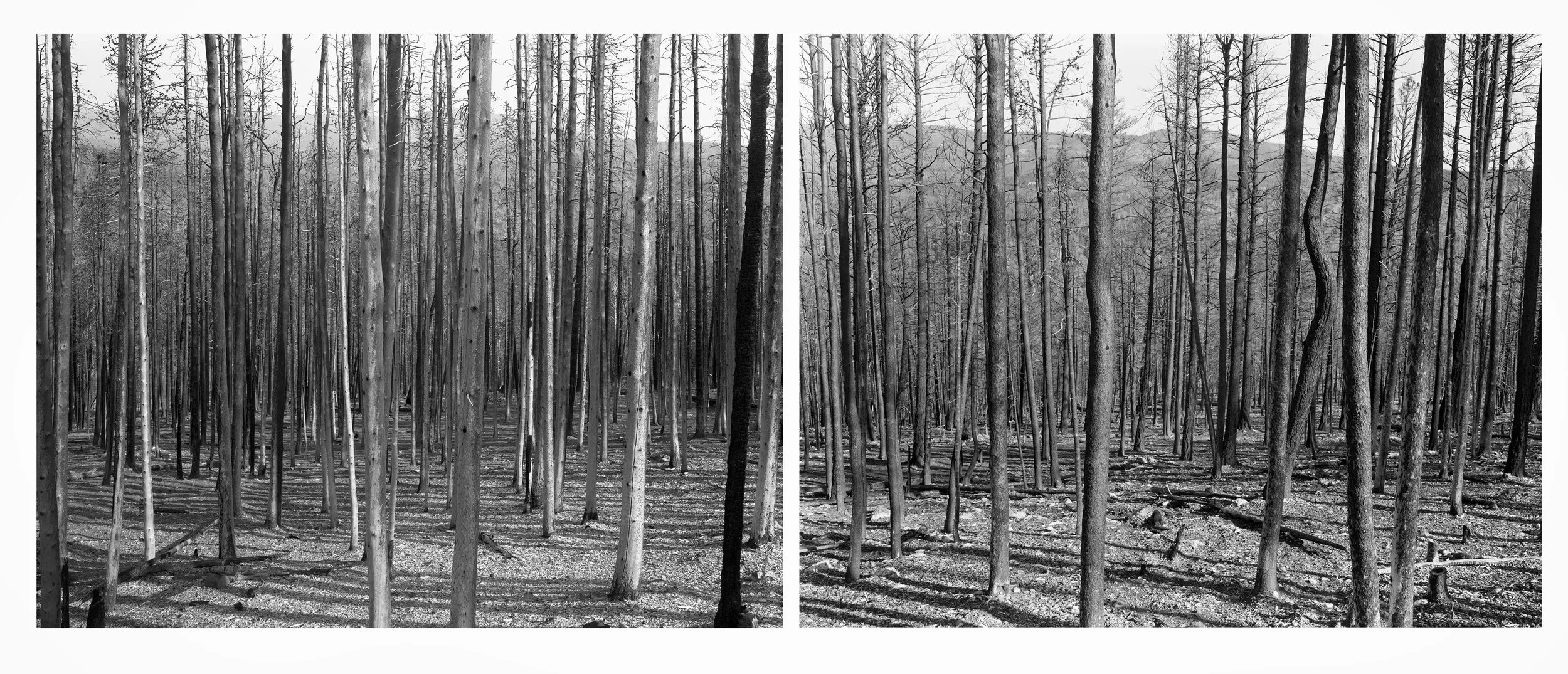 Untitled-1.jpg