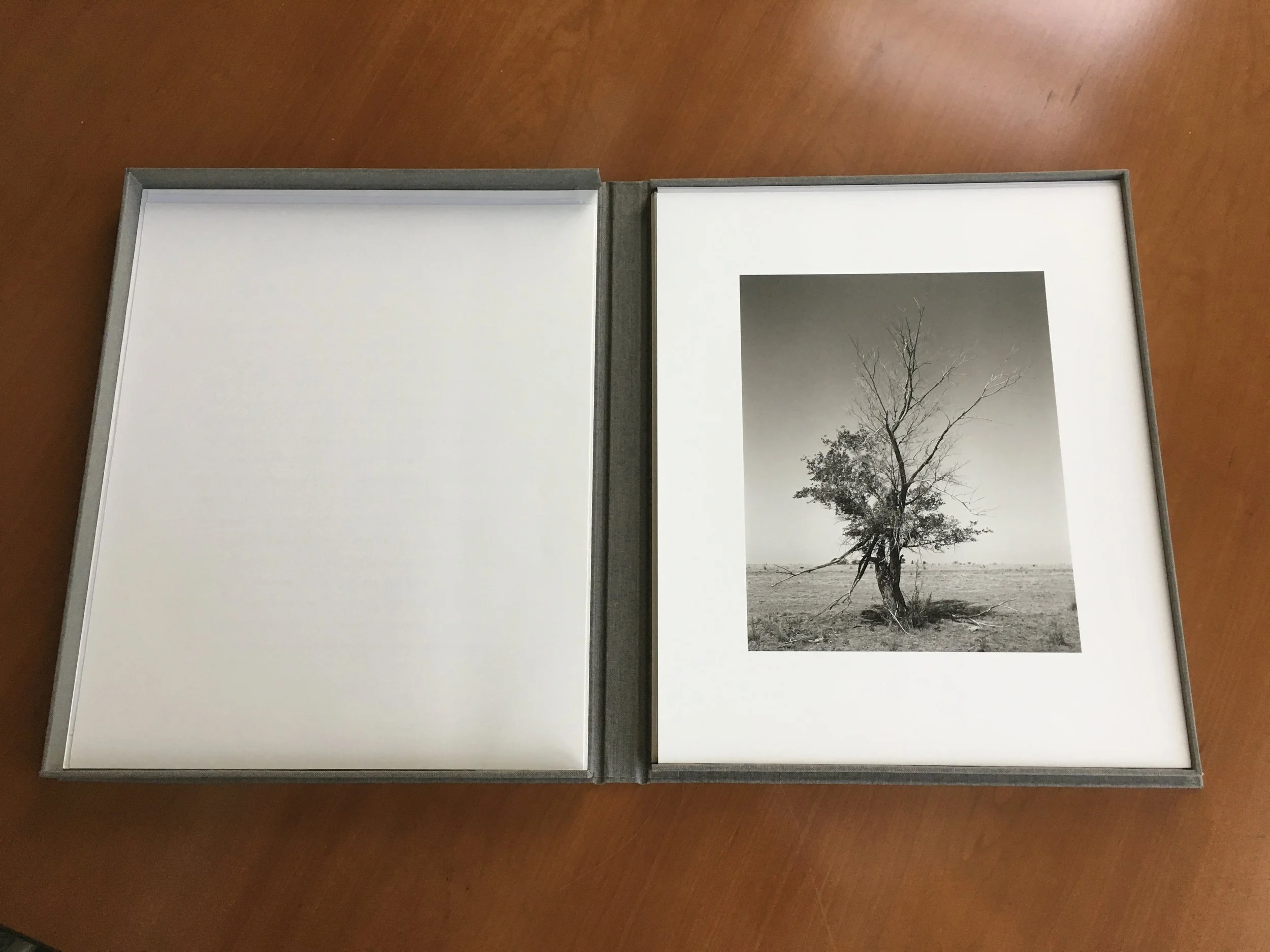 Portfolio2.jpg