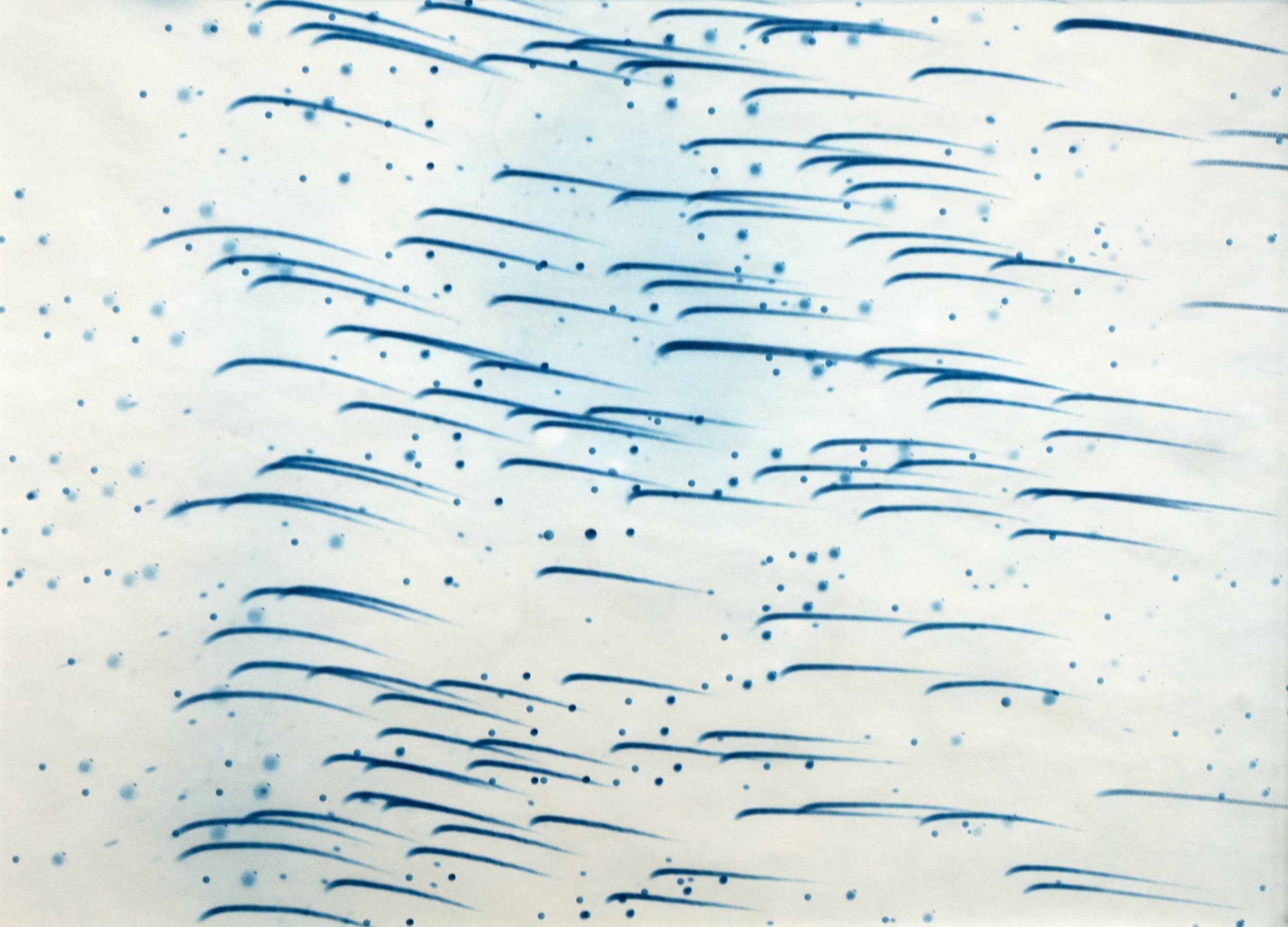 FIRMdetail6.jpg