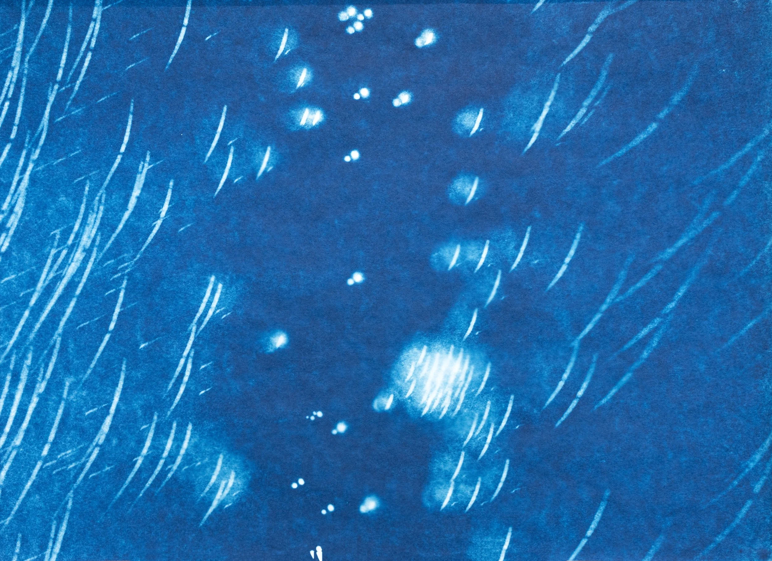Firmdetail5.jpg