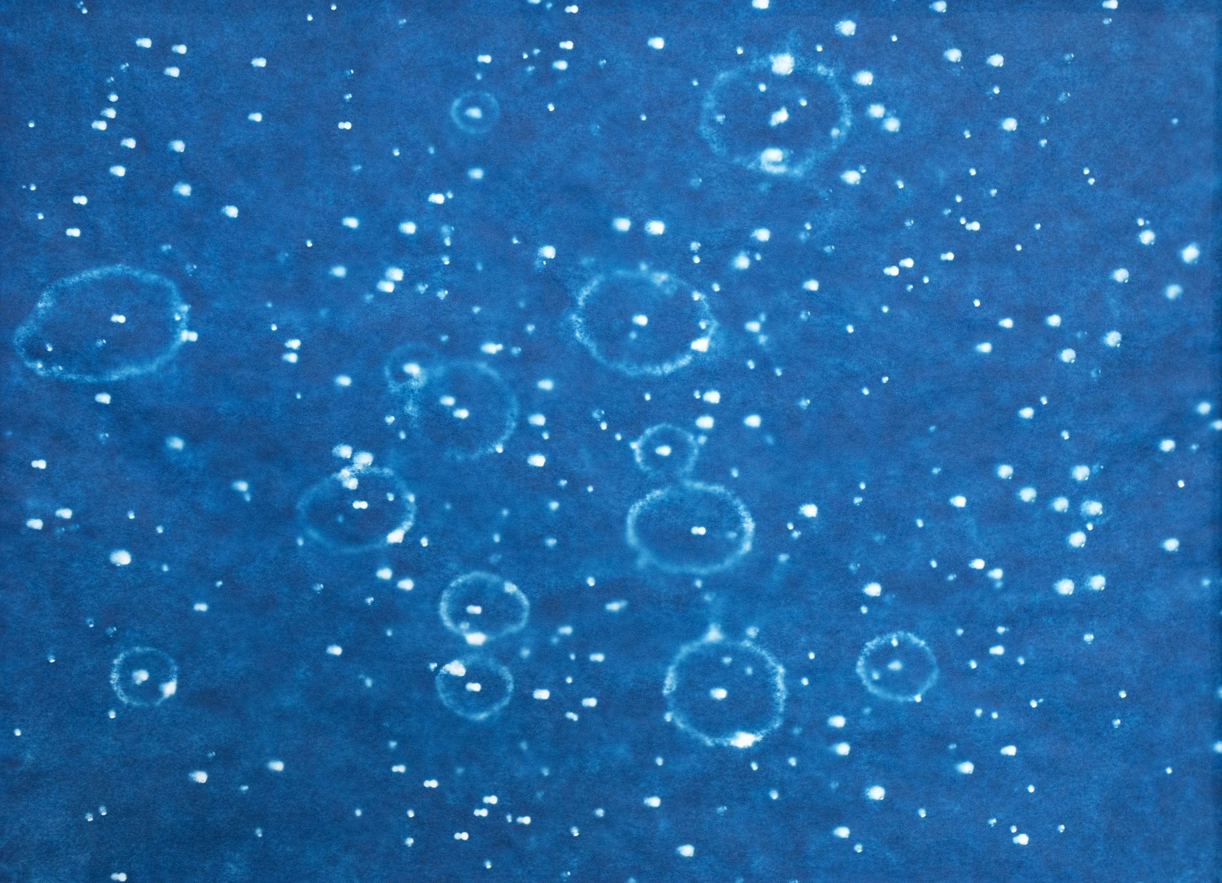 FIRMdetail9.jpg