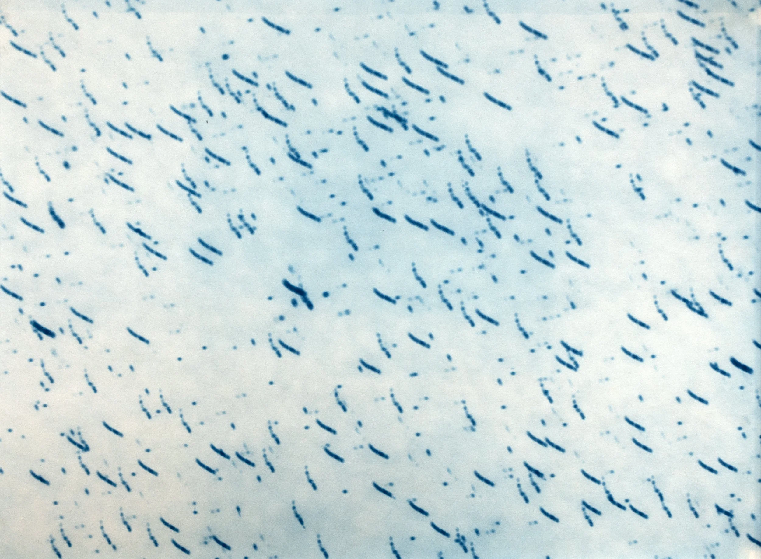 FIRMdetail10.jpg