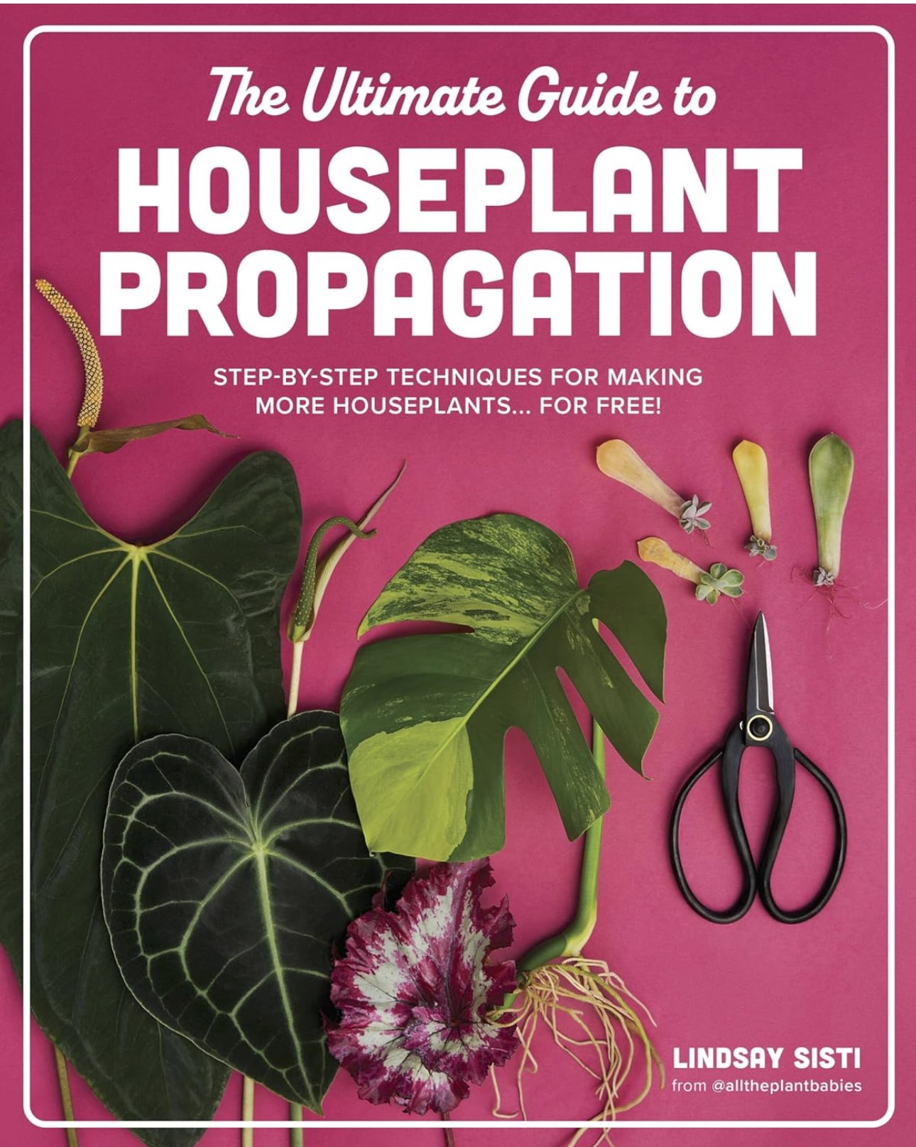 Ultimate Guide to Houseplant Propagation + Houseplant+Propagation Book.jpeg