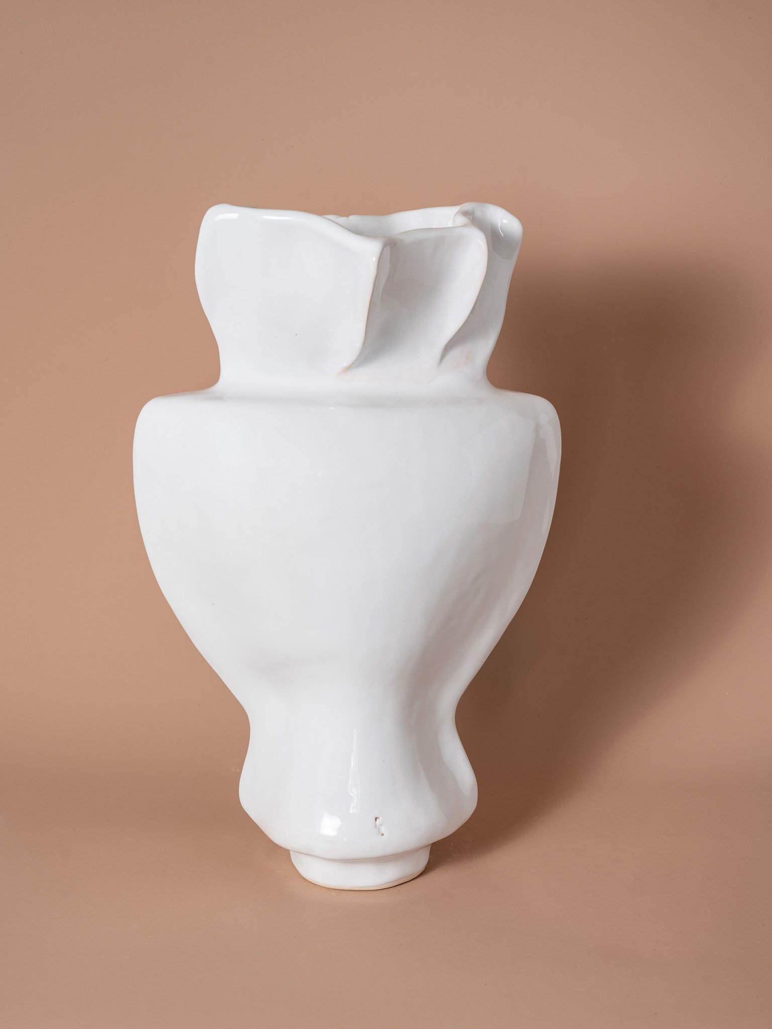 Form Vase 11- The Seed Serie