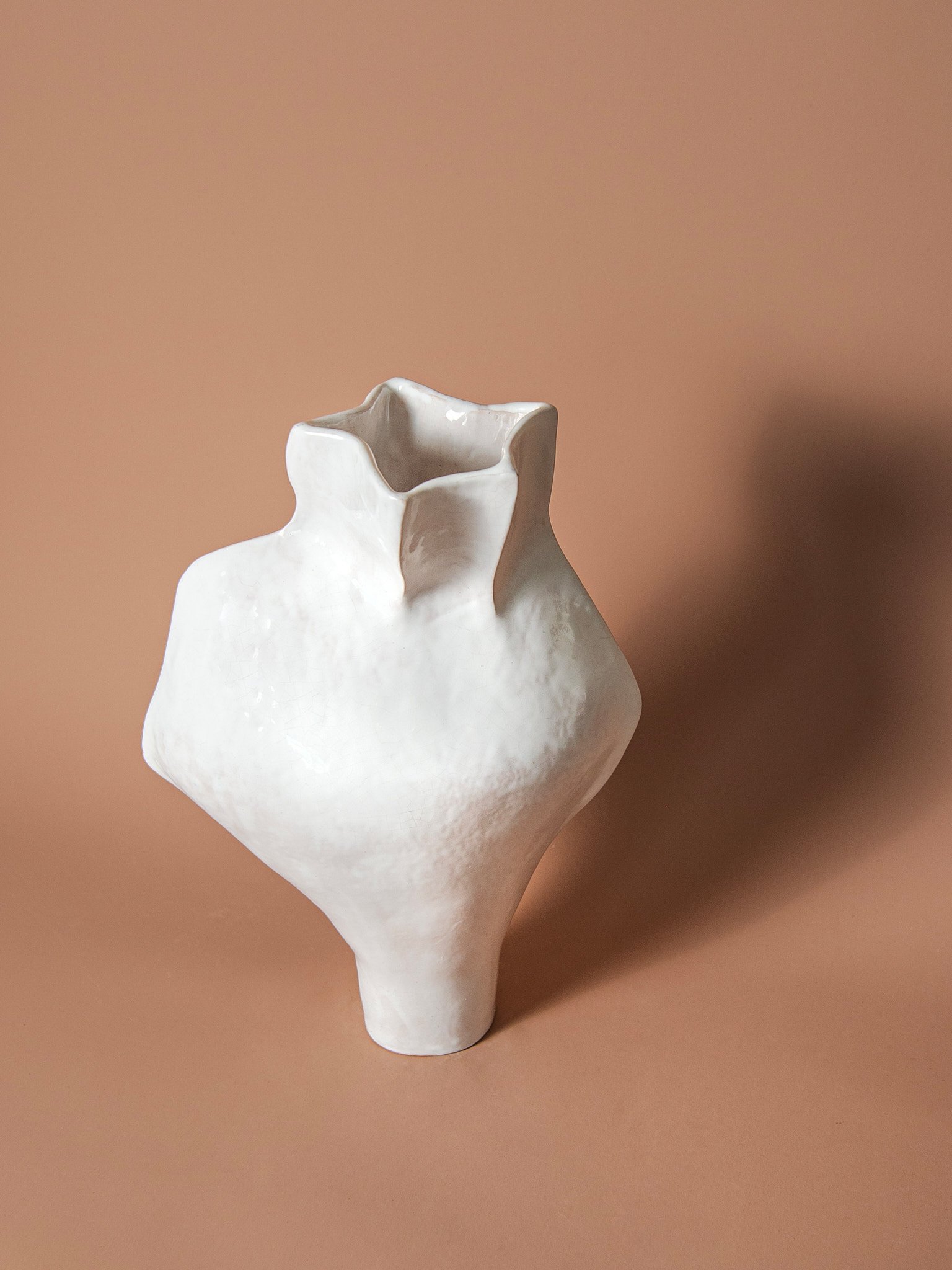 Form Vase 10- The Seed Serie