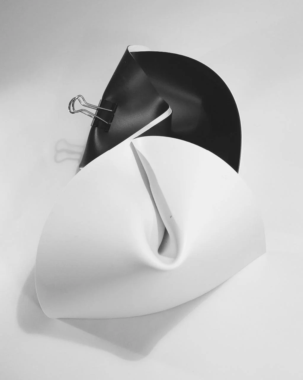 sculpture plinomi noir blanc.jpg