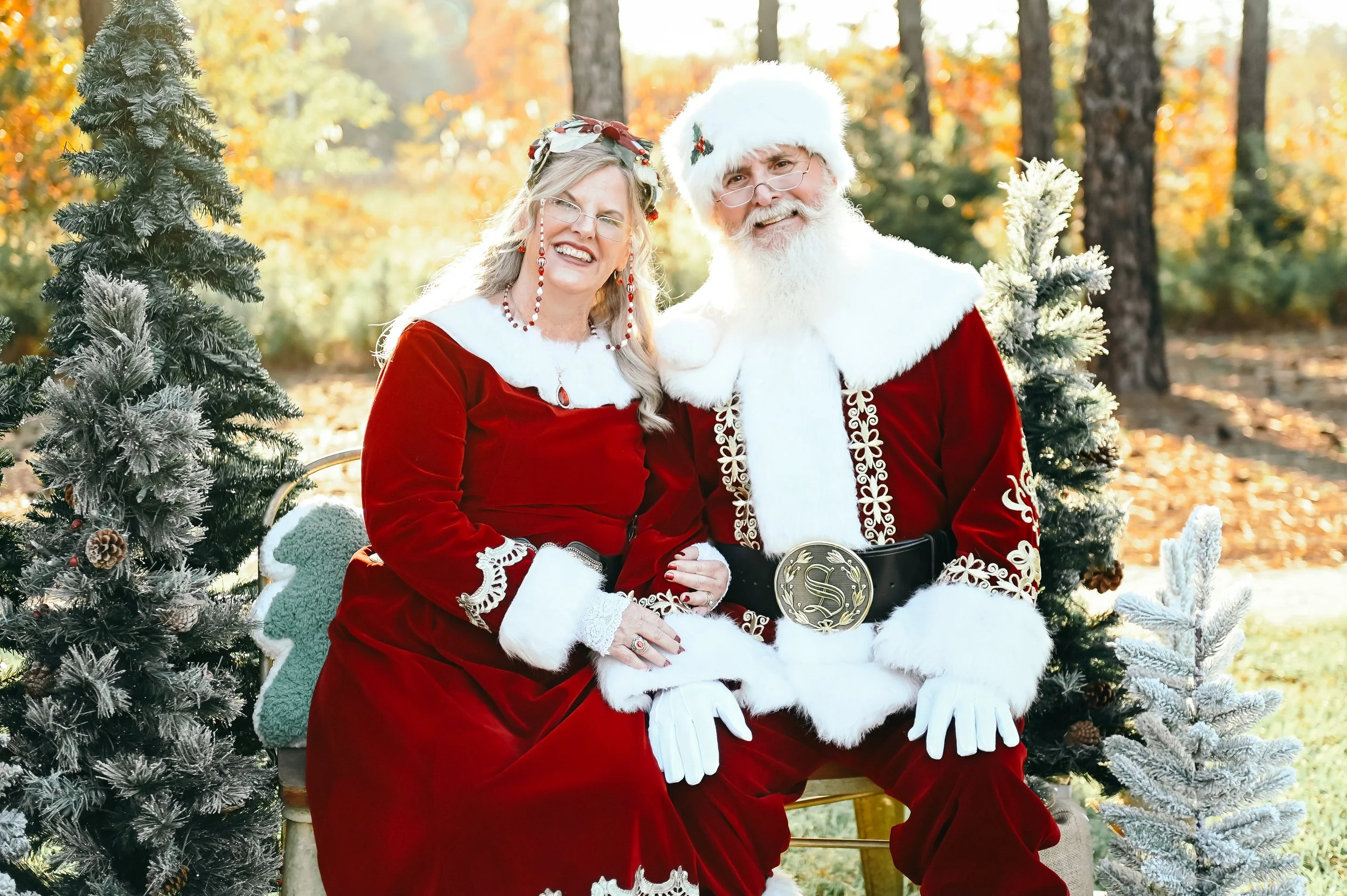 Santa and Mrs Claus Santa Experience