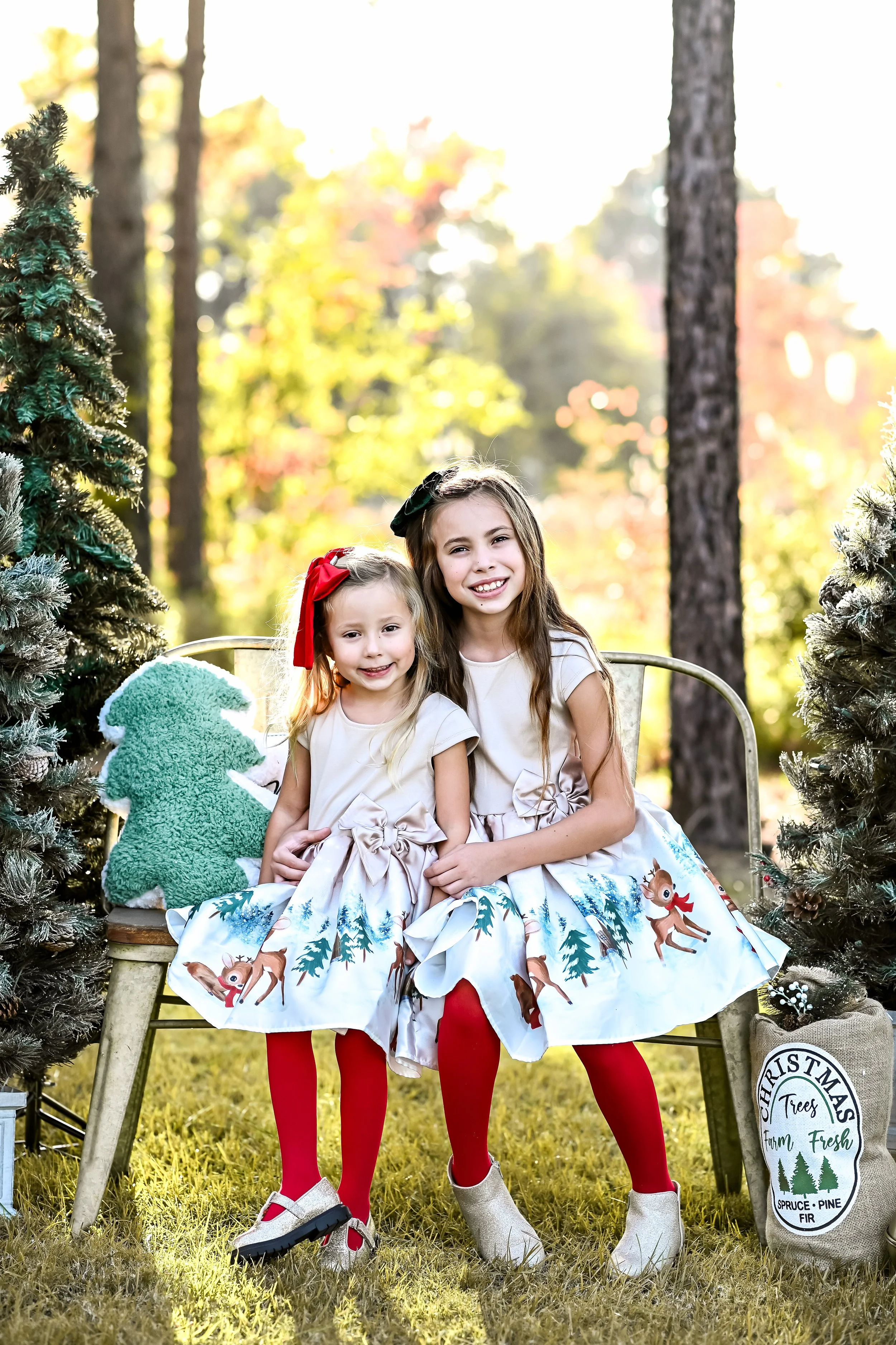 Two Sisters posing on bench Santa Experience