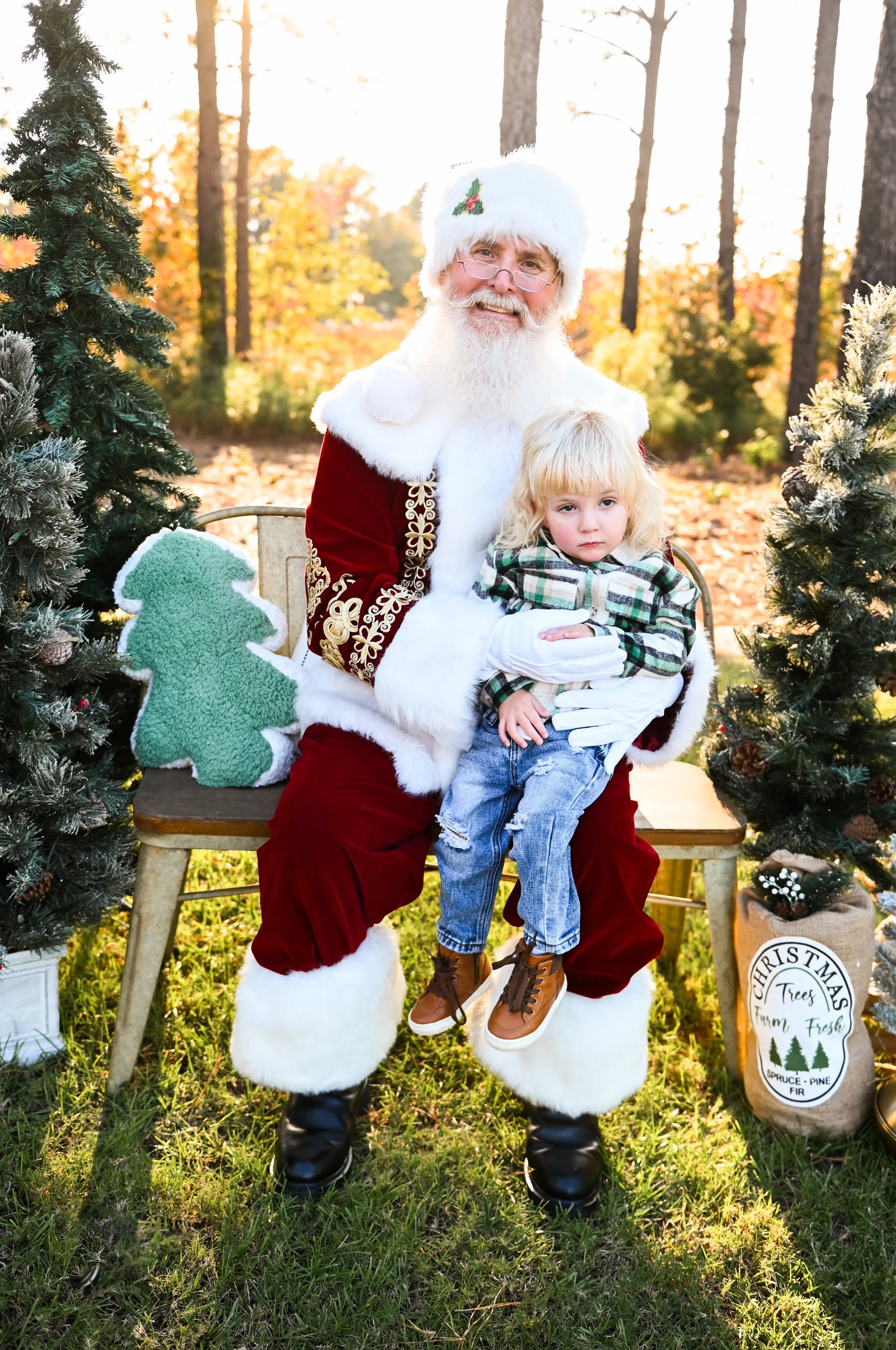 Santa Claus holding a child on his lap, surrounded by Christmas trees outdoors.