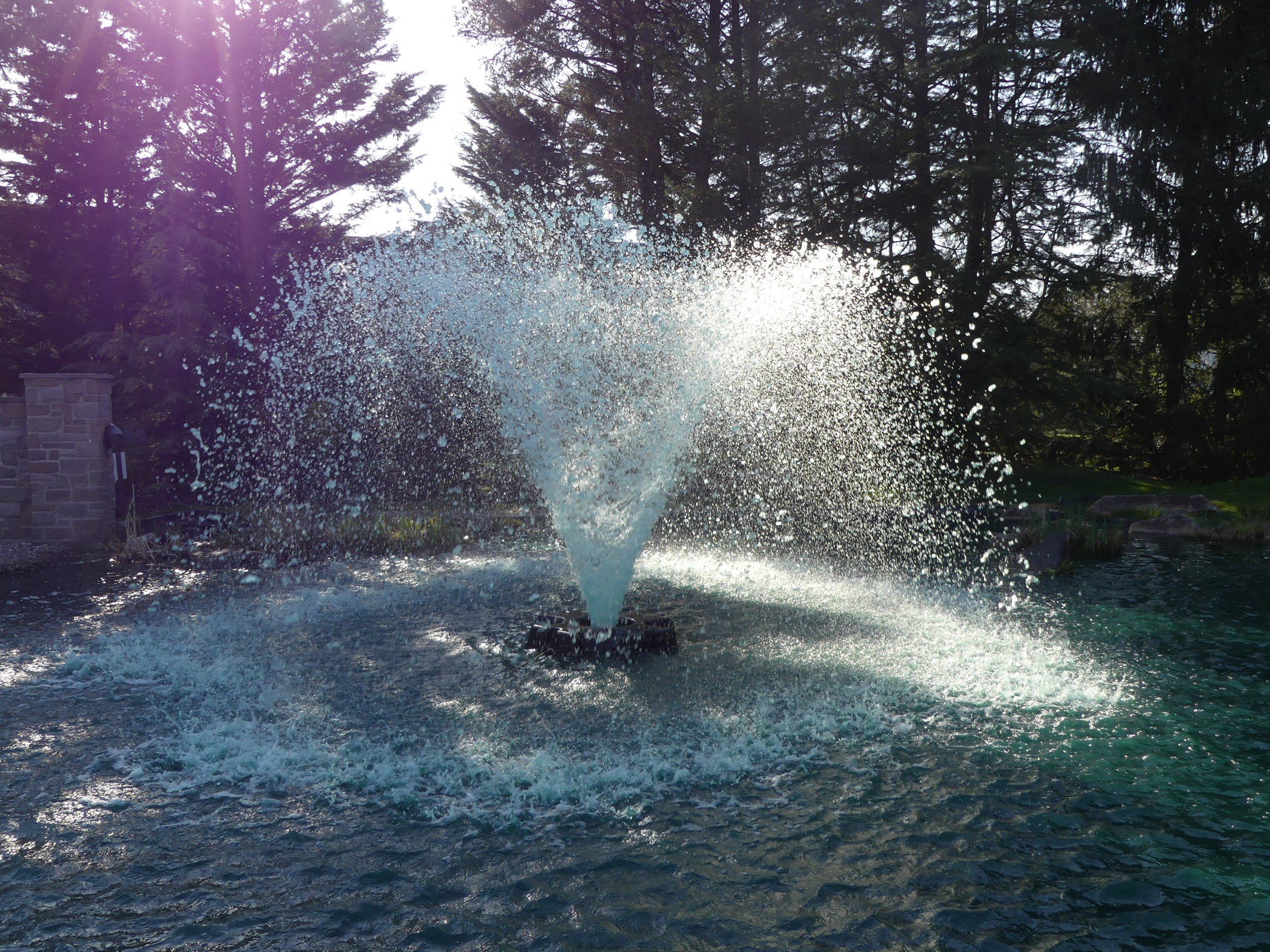 Splashing Around.JPG