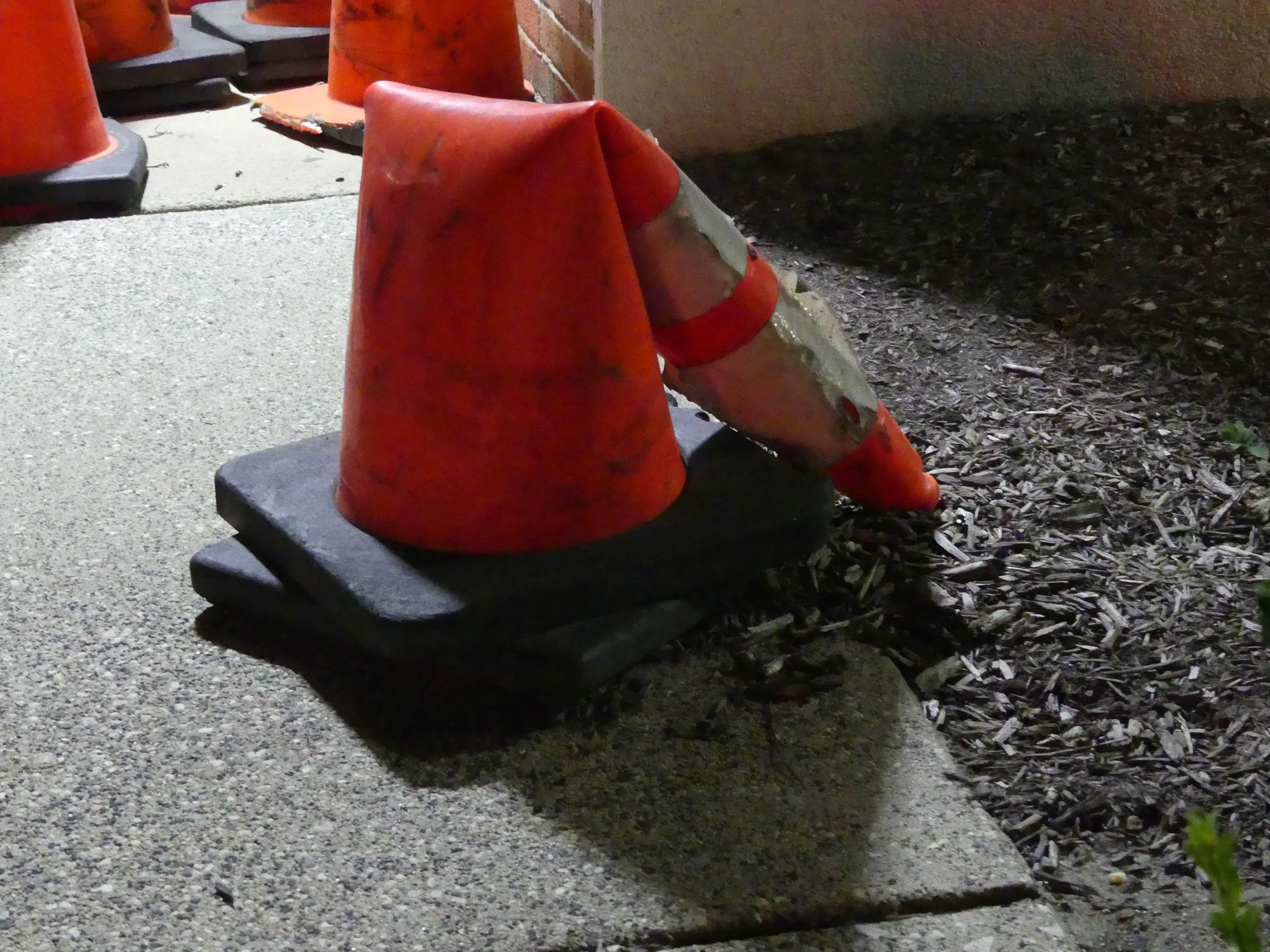 P1000089-7.jpg